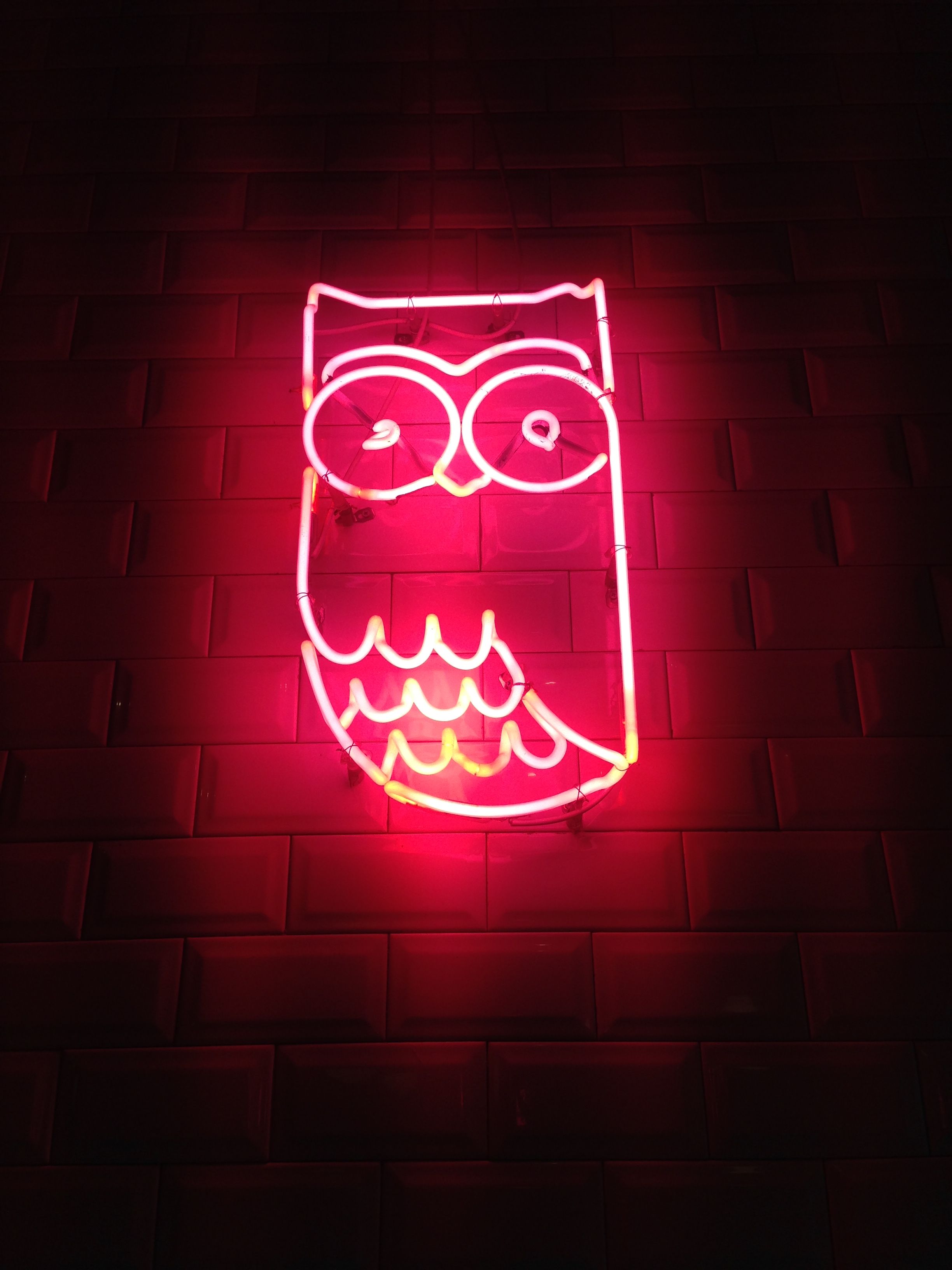2448x3264 Wallpaper Aesthetic Neon Owl, Owls, Neon, Neon Lighting, Light, Background Free Image