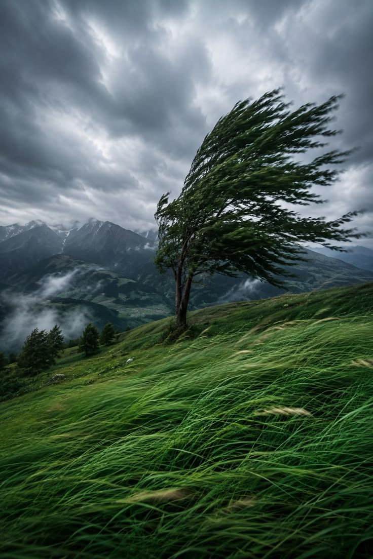 736x1104 Stormy Mountain landscape
