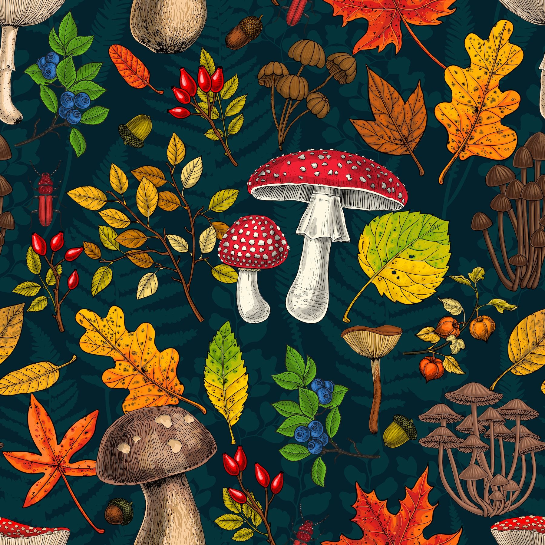 1800x1800 Mushrooms Berries And Autumn Leaves Wallpaper Mushrooms, Leaves, Nuts And Berries On Dark Blue Wallpaper