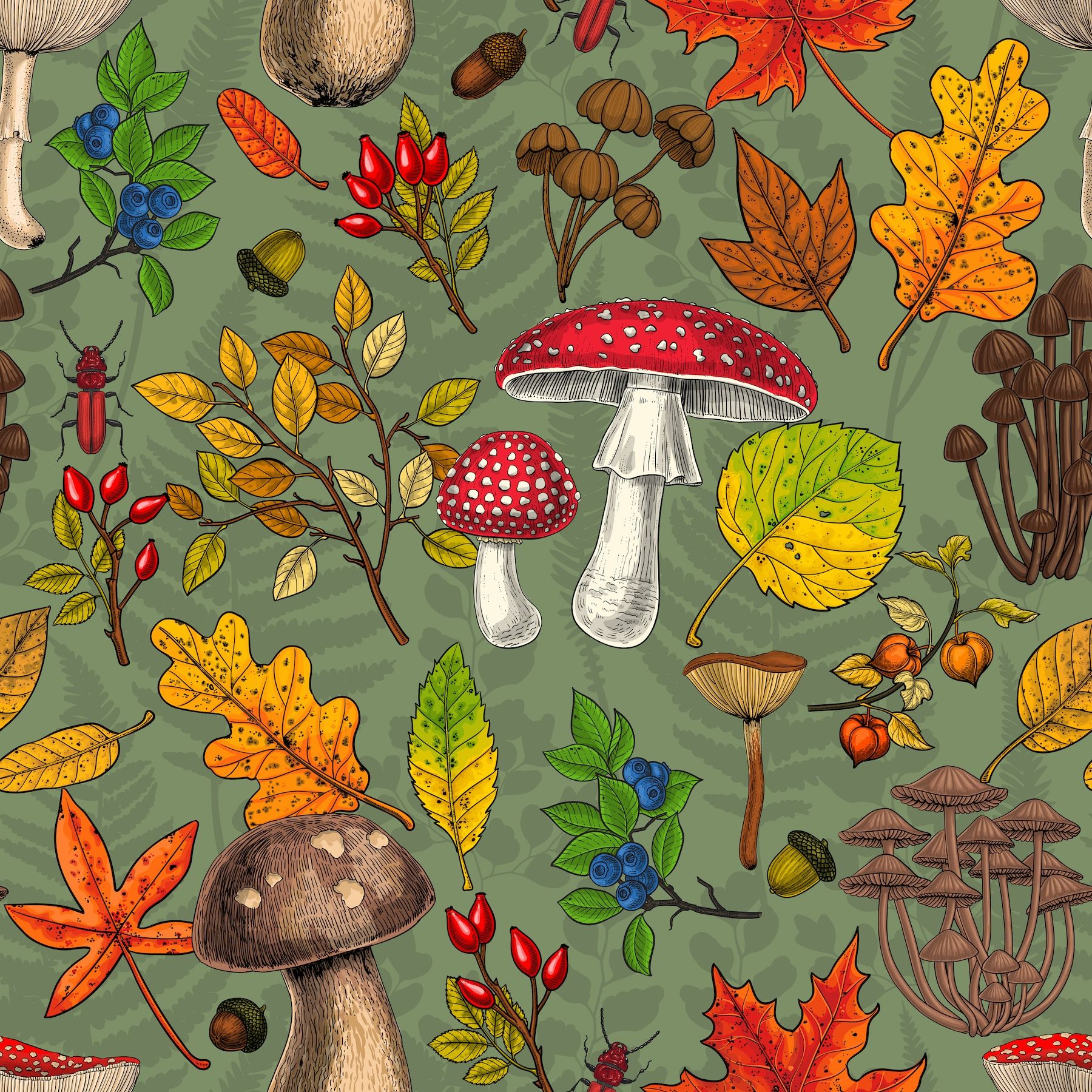 1800x1800 Autumn Mushrooms, Leaves, Nuts And Berries On Green Wallpaper