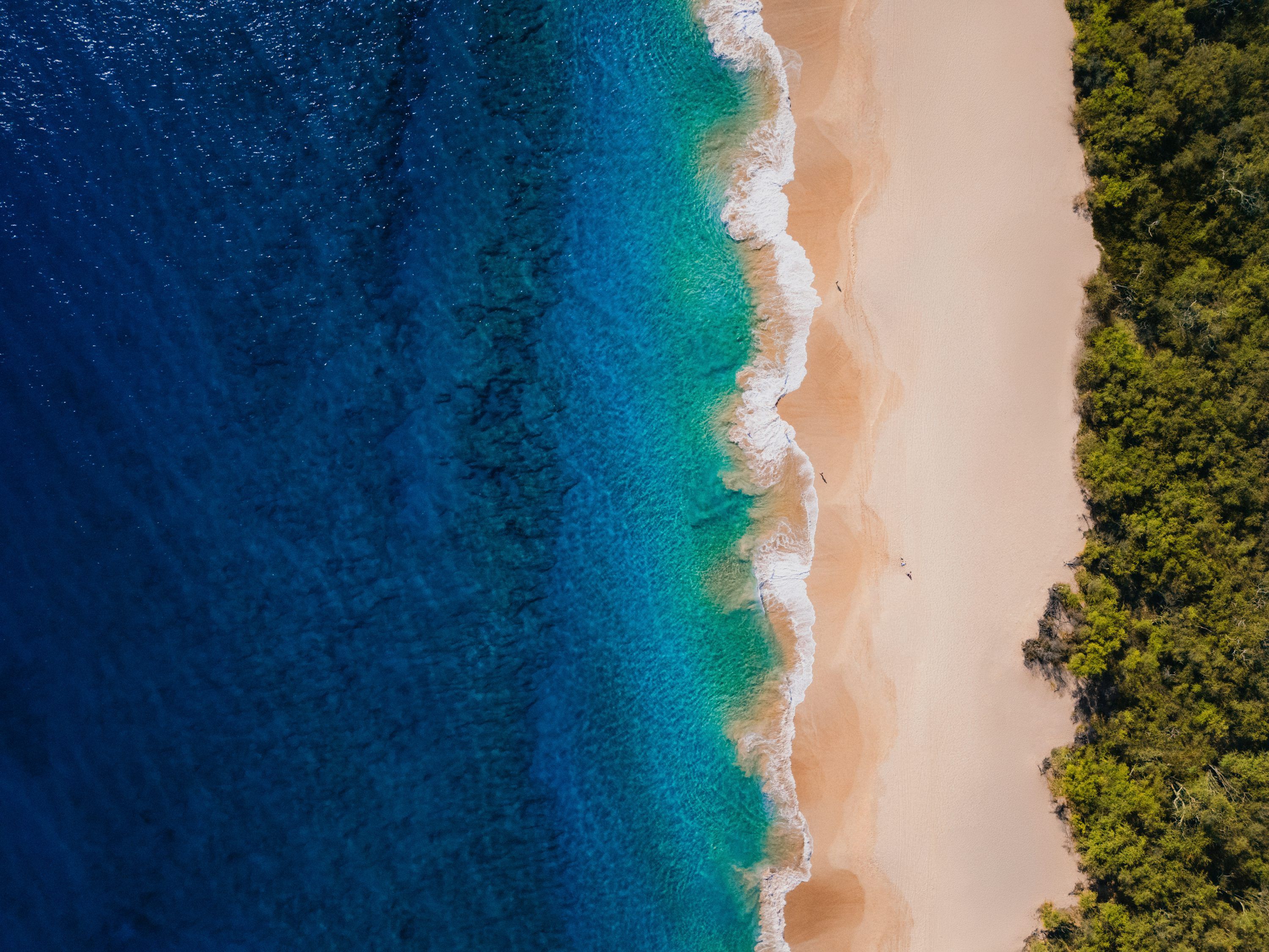 3000x2250 Beach meets ocean with forest on the right