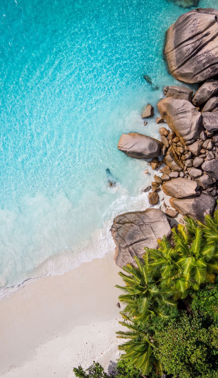 736x1271 Seychelles iphone background. Beach island top view, Tropical beach top view, Beach wallpaper iphone