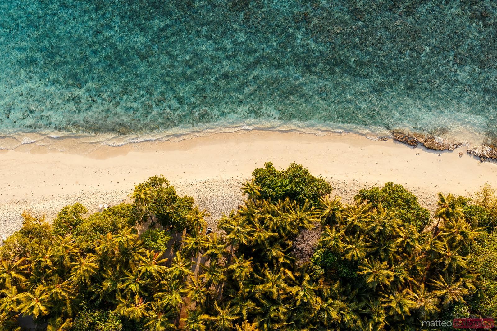1600x1067 Aerial top down view of beach with palm trees and ocean, Maldives. Royalty Free Image