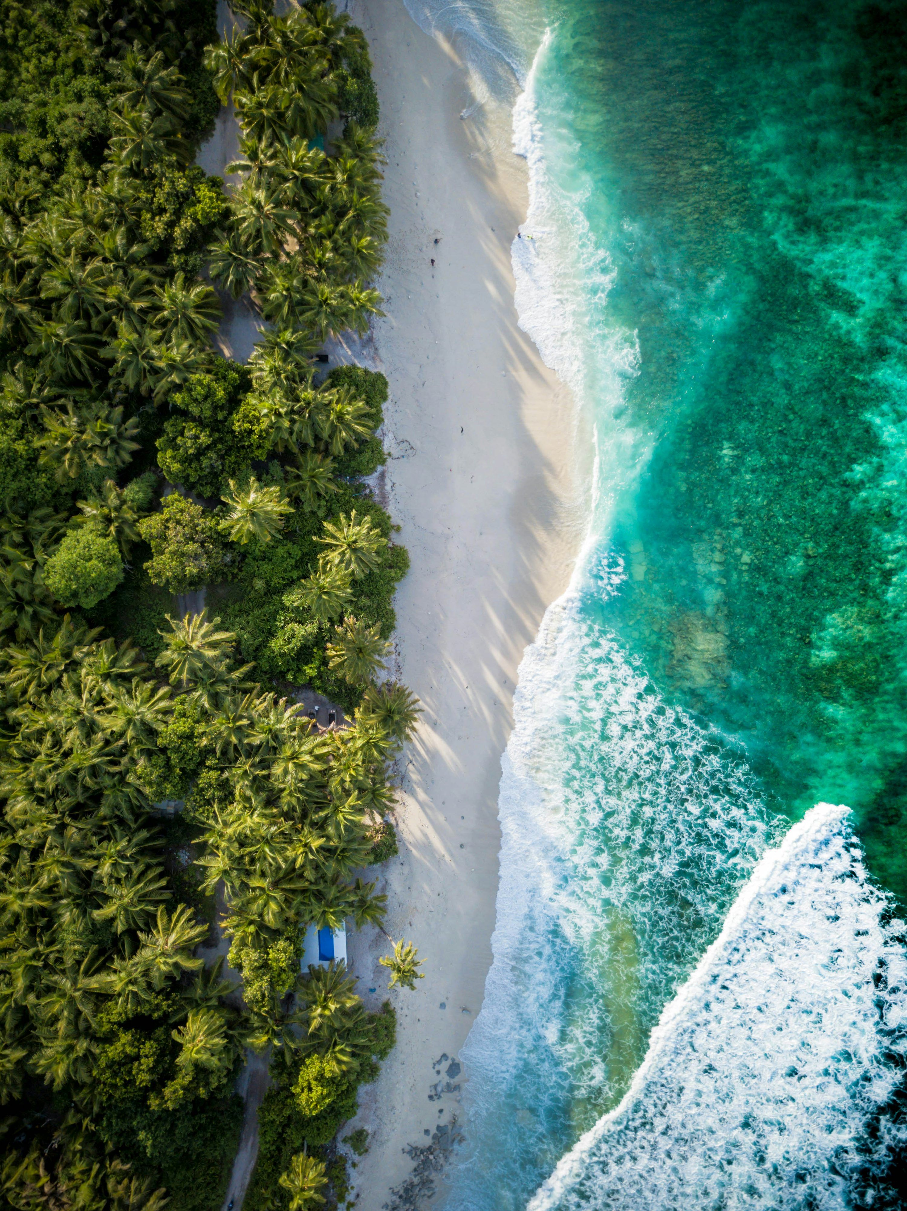3000x4003 Aerial Tropical Beach Wallpaper