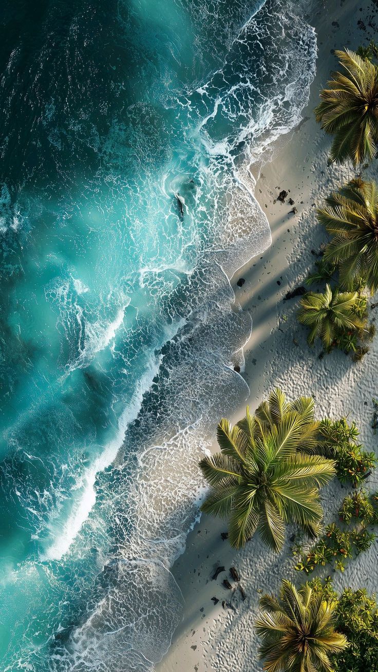 736x1308 Beach photography from above. Top view beach photography, Beach above view drawing, High quality ocean