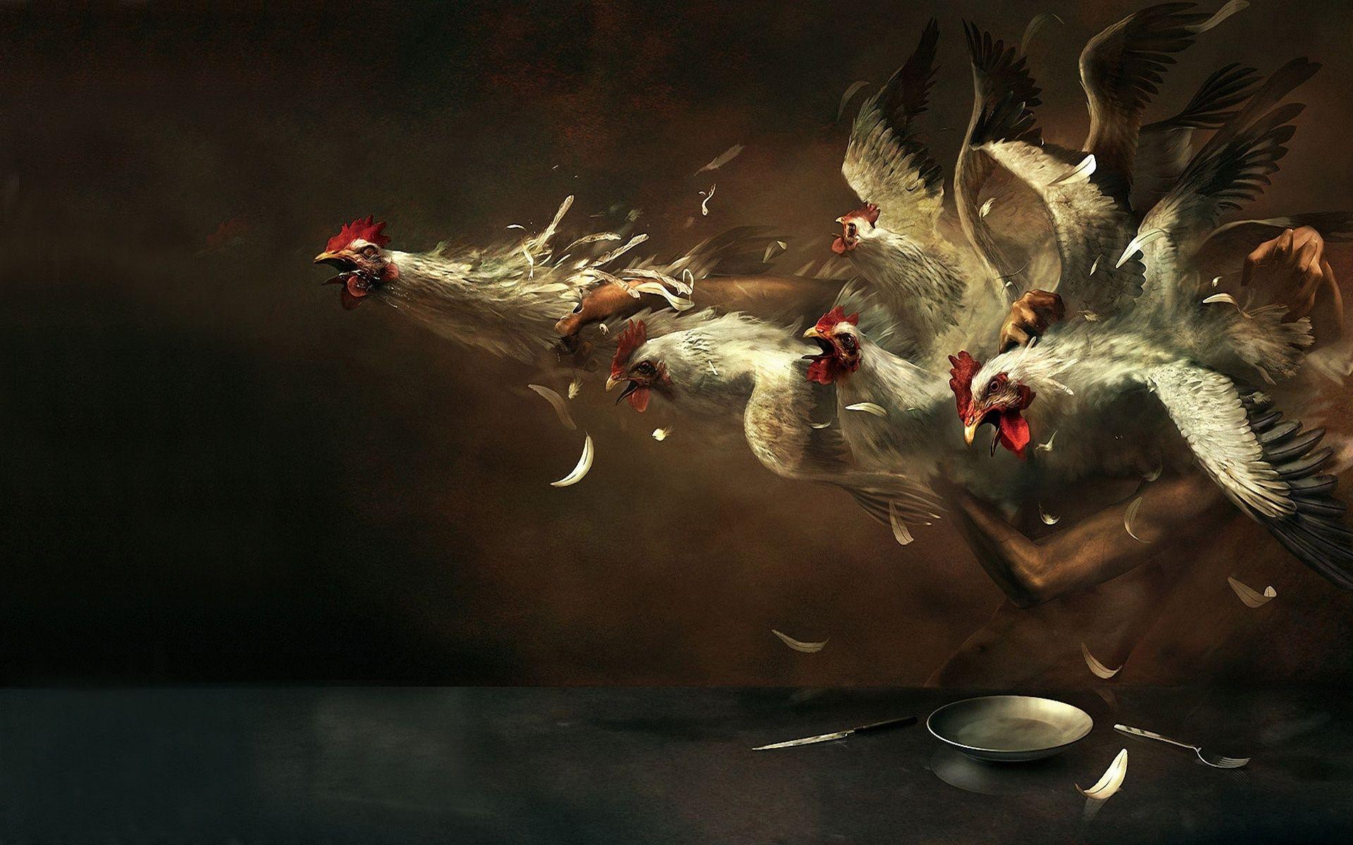 1920x1200 Chicken Art Wallpaper 19899