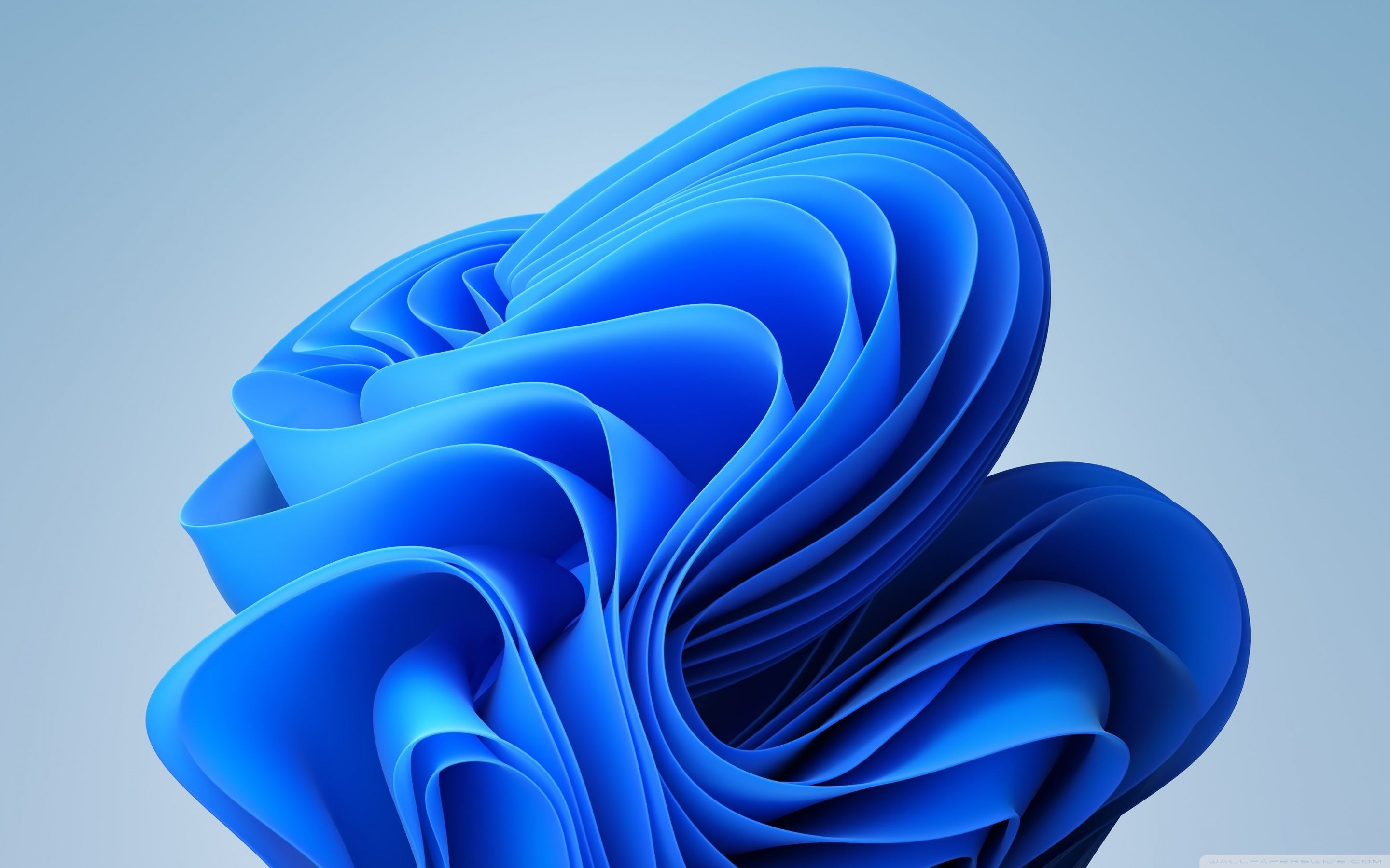 2880x1800 Windows 11 4K UHD Wallpaper for UltraHD Desktop and TV : Widescreen and UltraWide Display : Dual Monitor