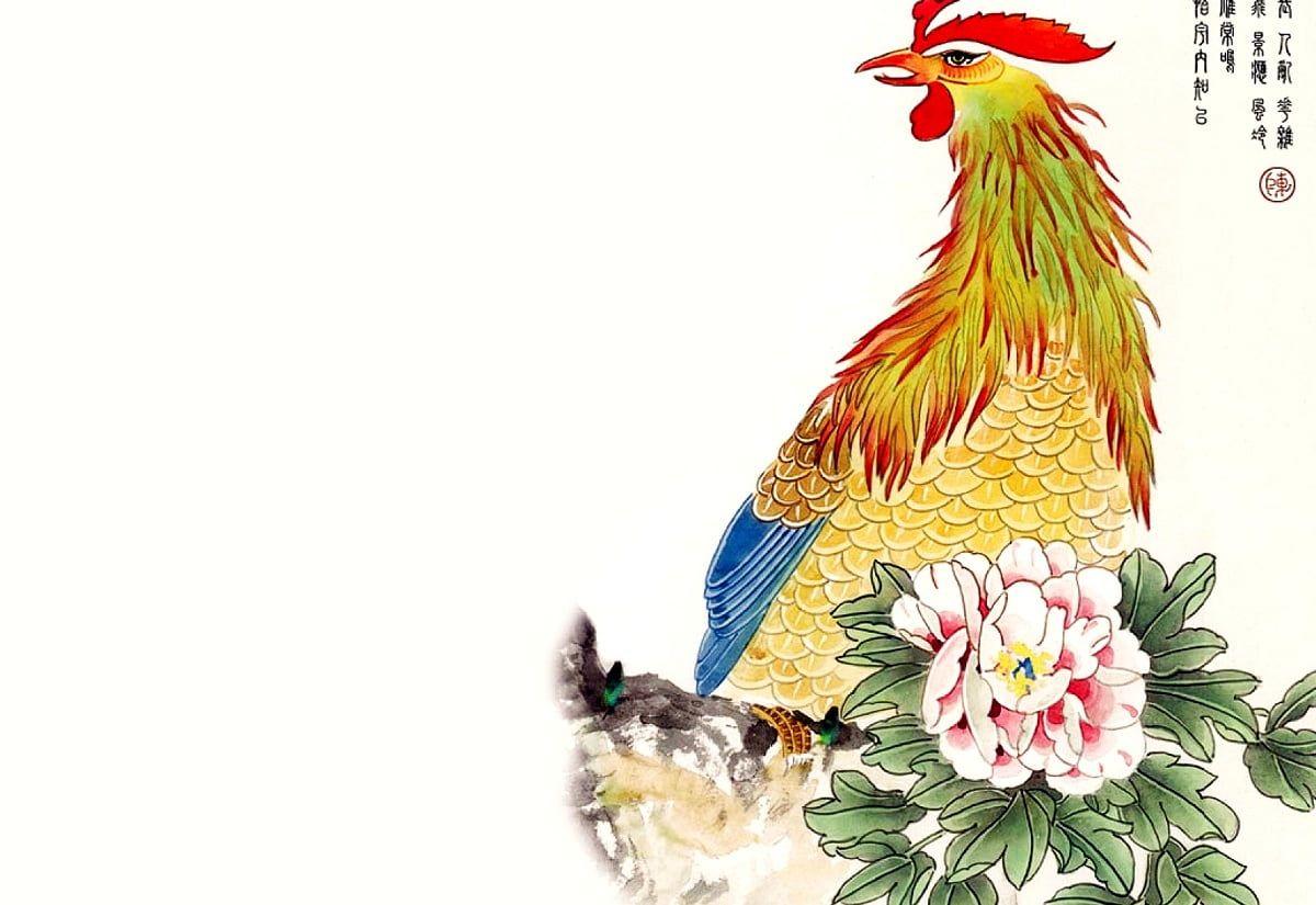 1200x825 Chicken wallpaper HD. Download Free background