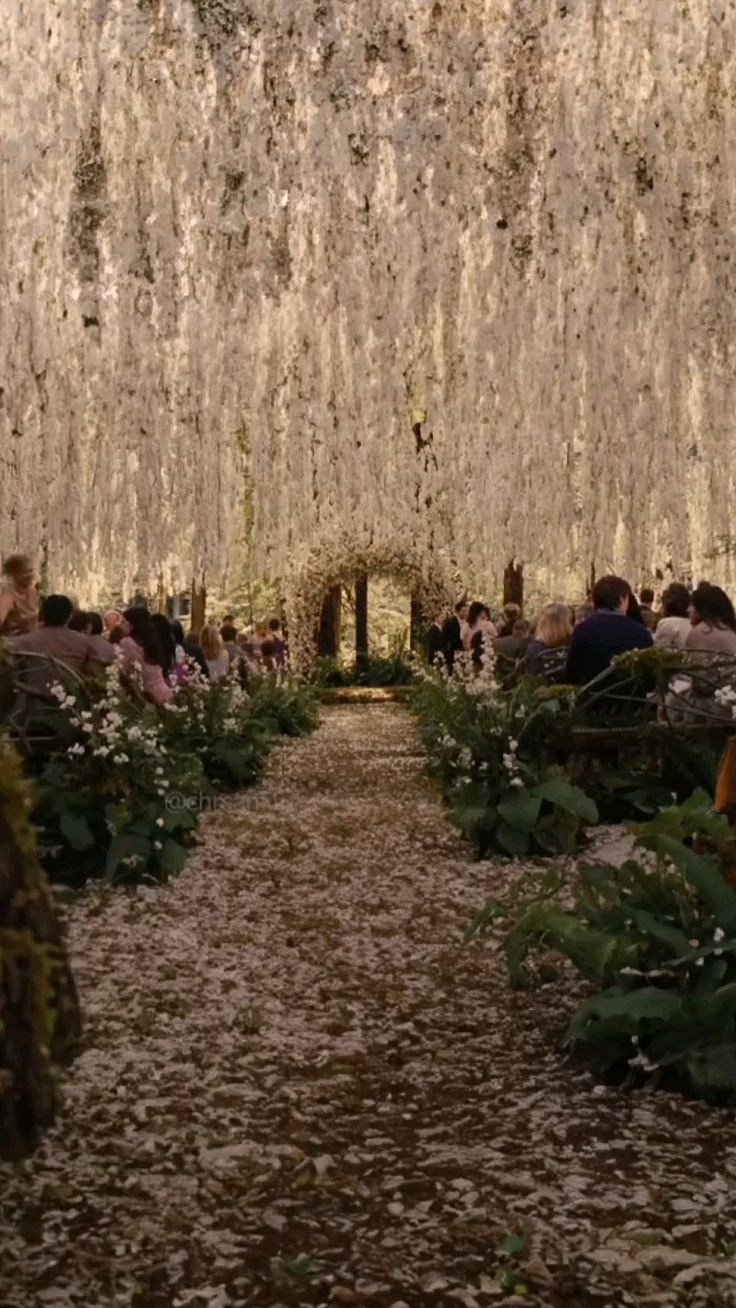 736x1308 Twilight Wedding Wallpaper. The last hours aesthetic wedding, Shadowhunters aesthetic wedding, Forest theme wedding