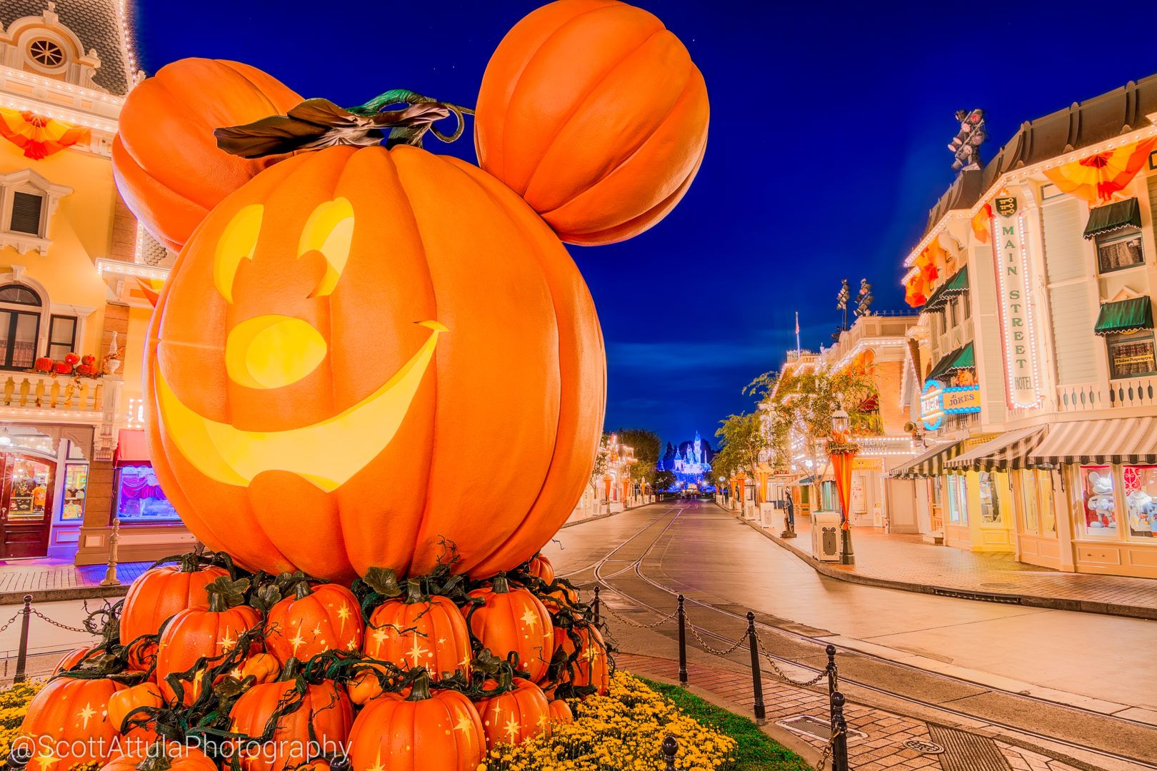 1620x1080 MiceChat Resort, Features Photo Update's Get This Pumpkin Started!