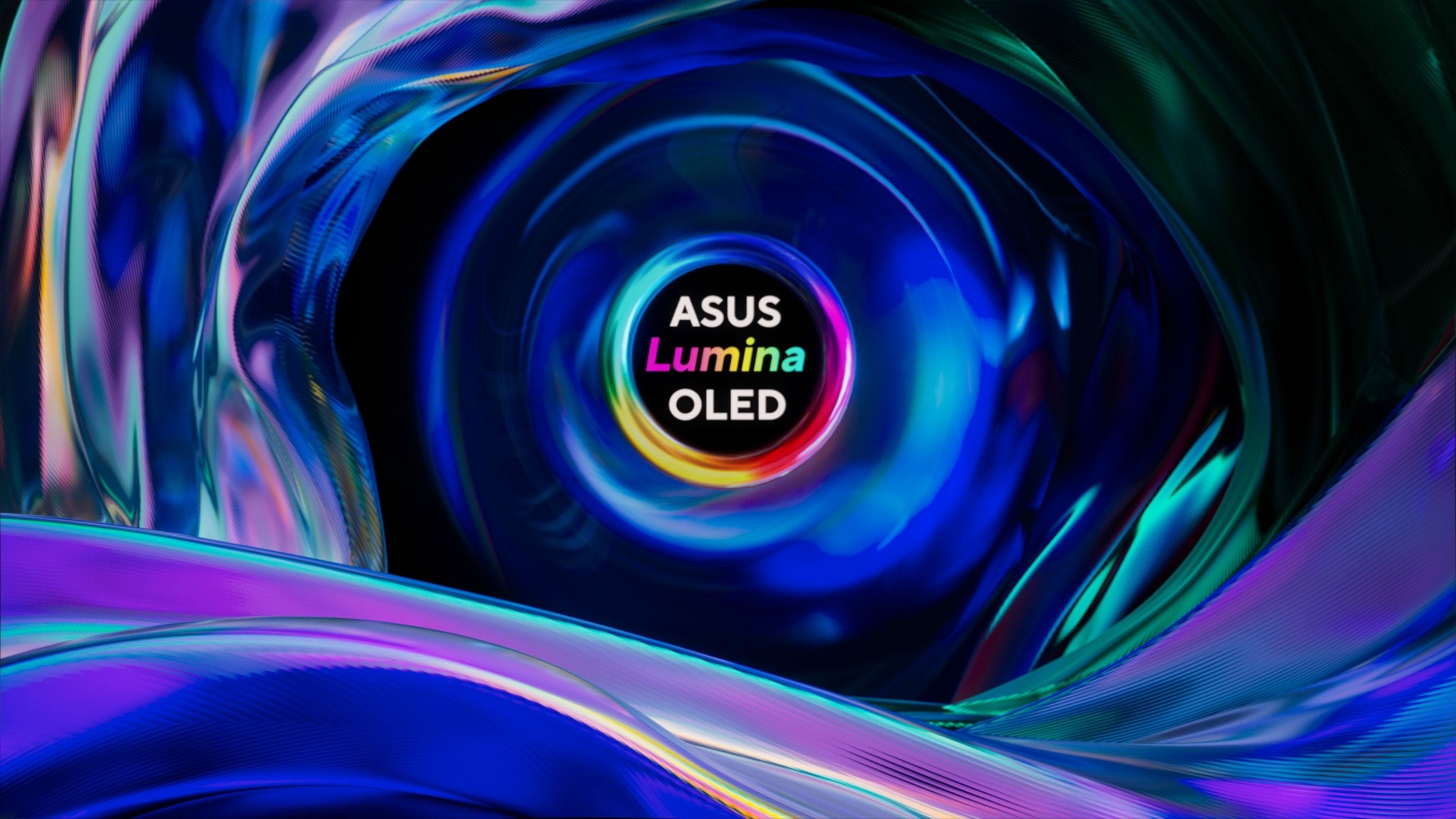 2560x1440 Asus Vivobook Oled Wallpaper