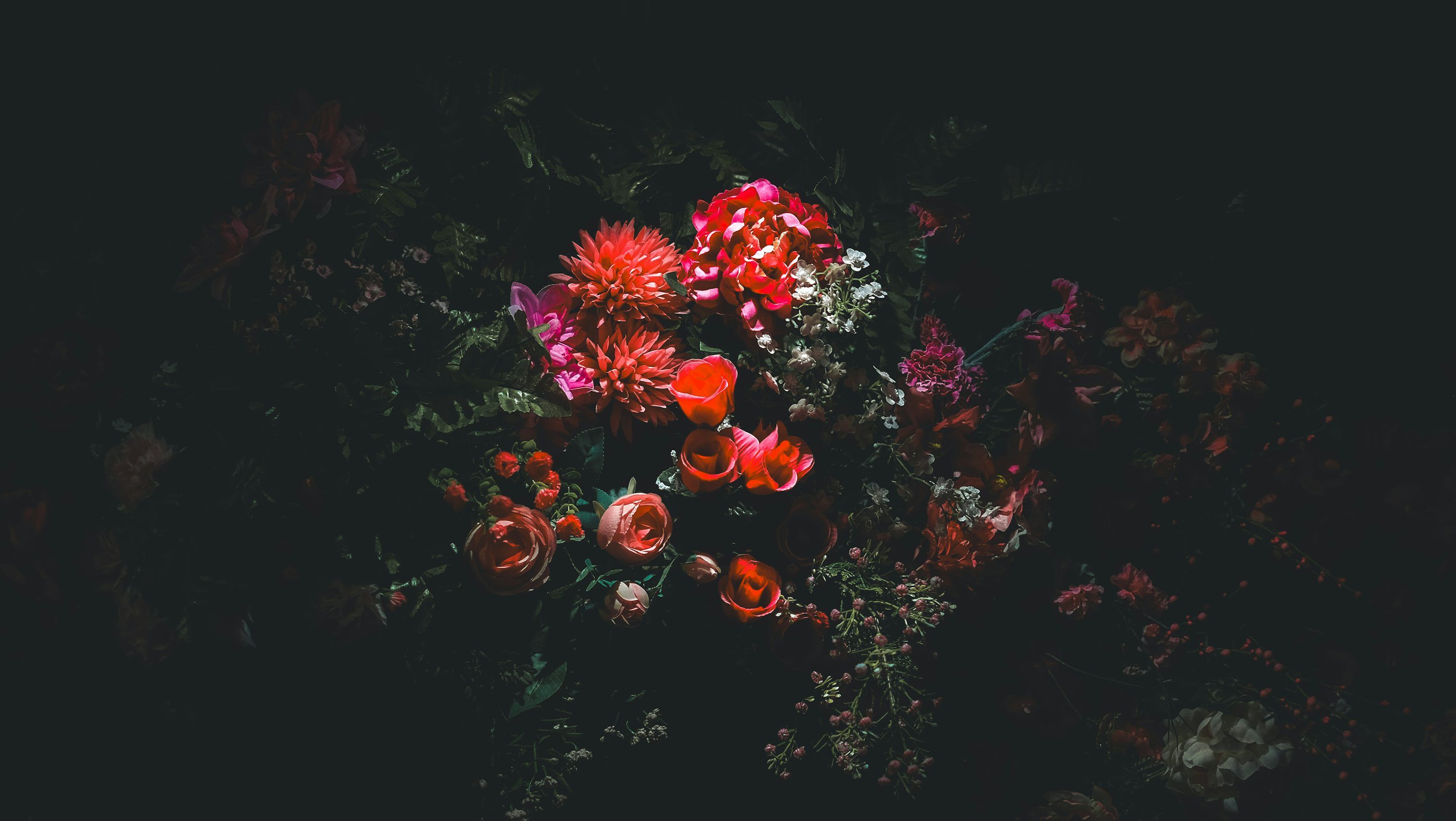 3000x1691 AMOLED Wallpaper: Free HD Download [4K]