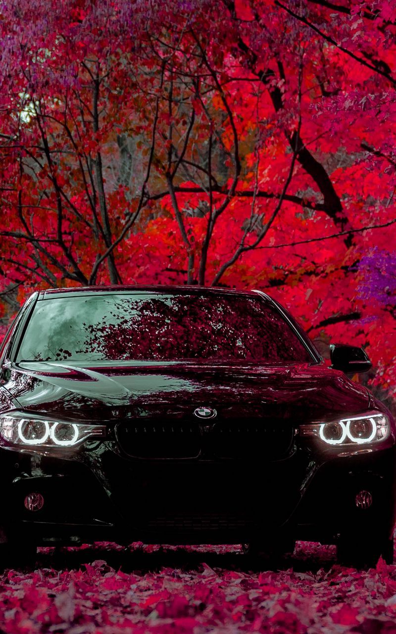 800x1280 Download Wallpaper 800x1280 Bmw F30 335i, Bmw, Car, Black, Front View, Forest Samsung Galaxy Note Gt N Meizu Mx2 HD Background