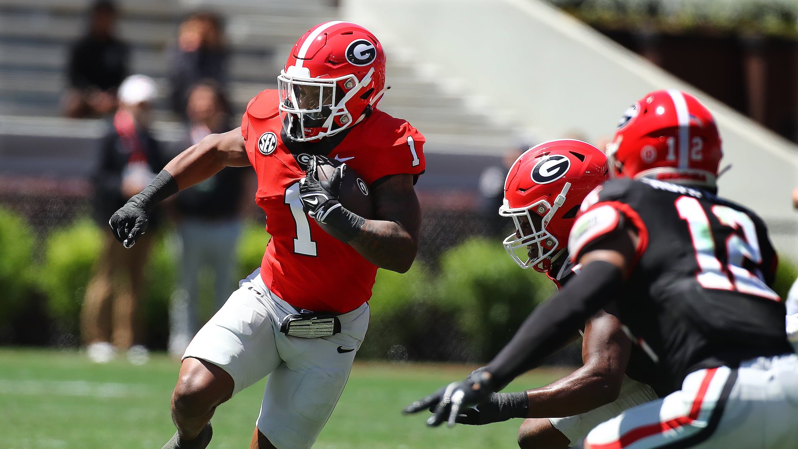 2560x1440 DawgNation