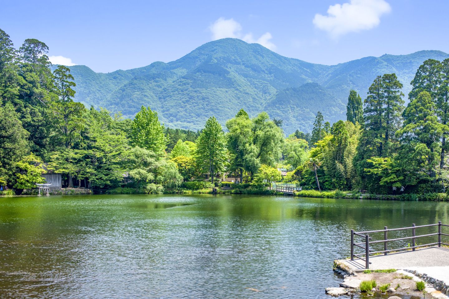 1440x959 Starting from Kumamoto, Explore Popular Oita Destinations: Nature, History, and Onsen Bliss!｜Itineraries｜Visit Oita Official Tourism Website of Oita, Kyushu, Japan