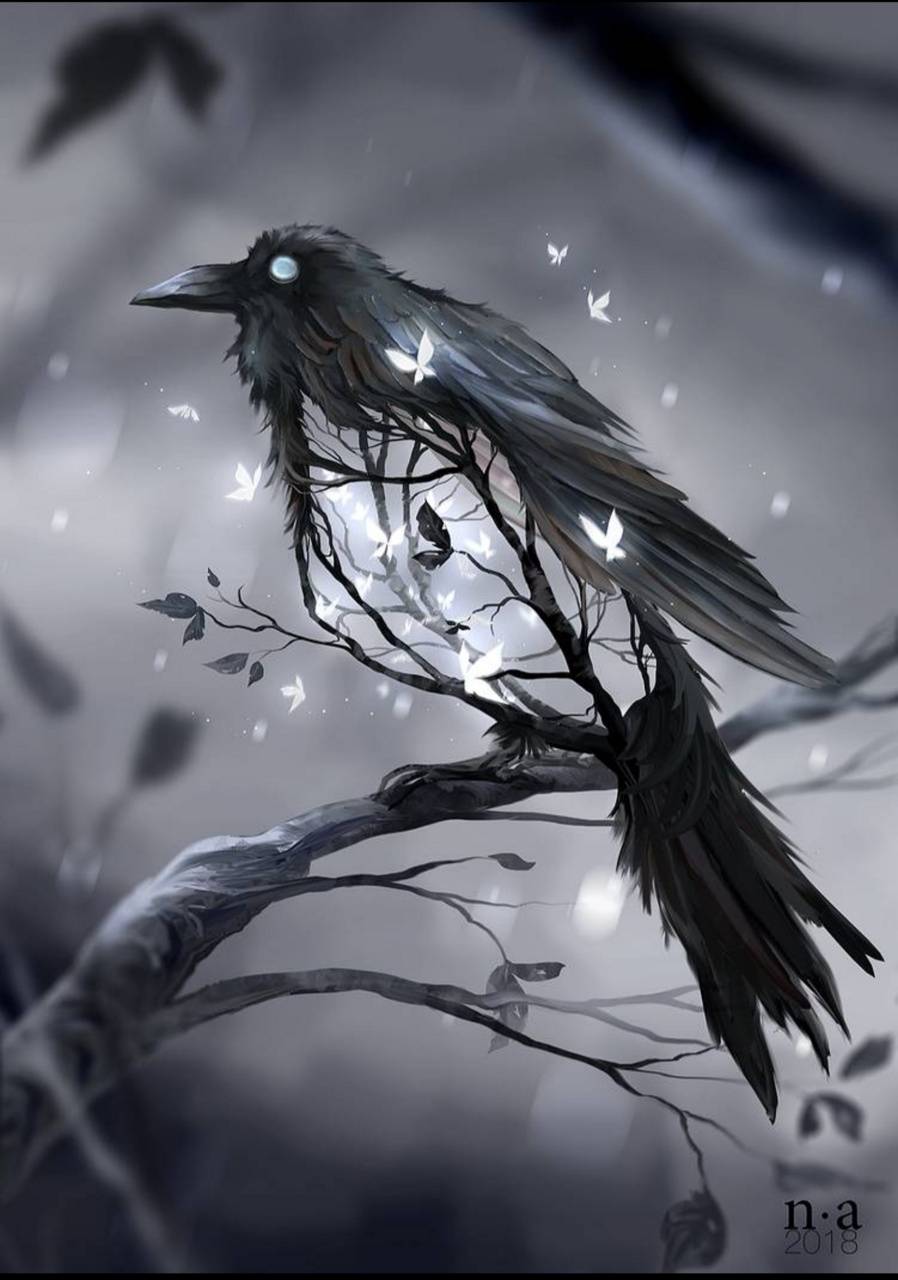 898x1280 Crow Sharing Phone Wallpaper