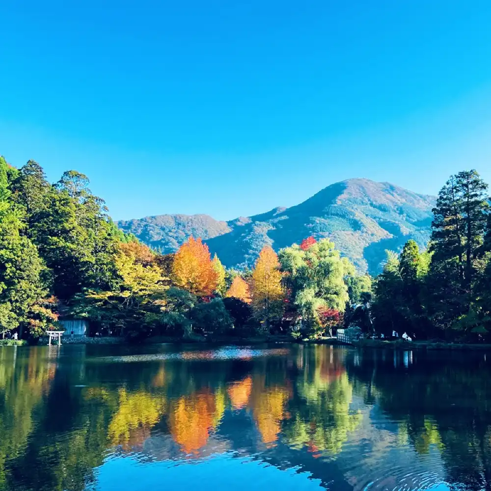 1000x1000 1 Day Oita Adventure: Dazaifu, Yufuin & Kamado Jigoku