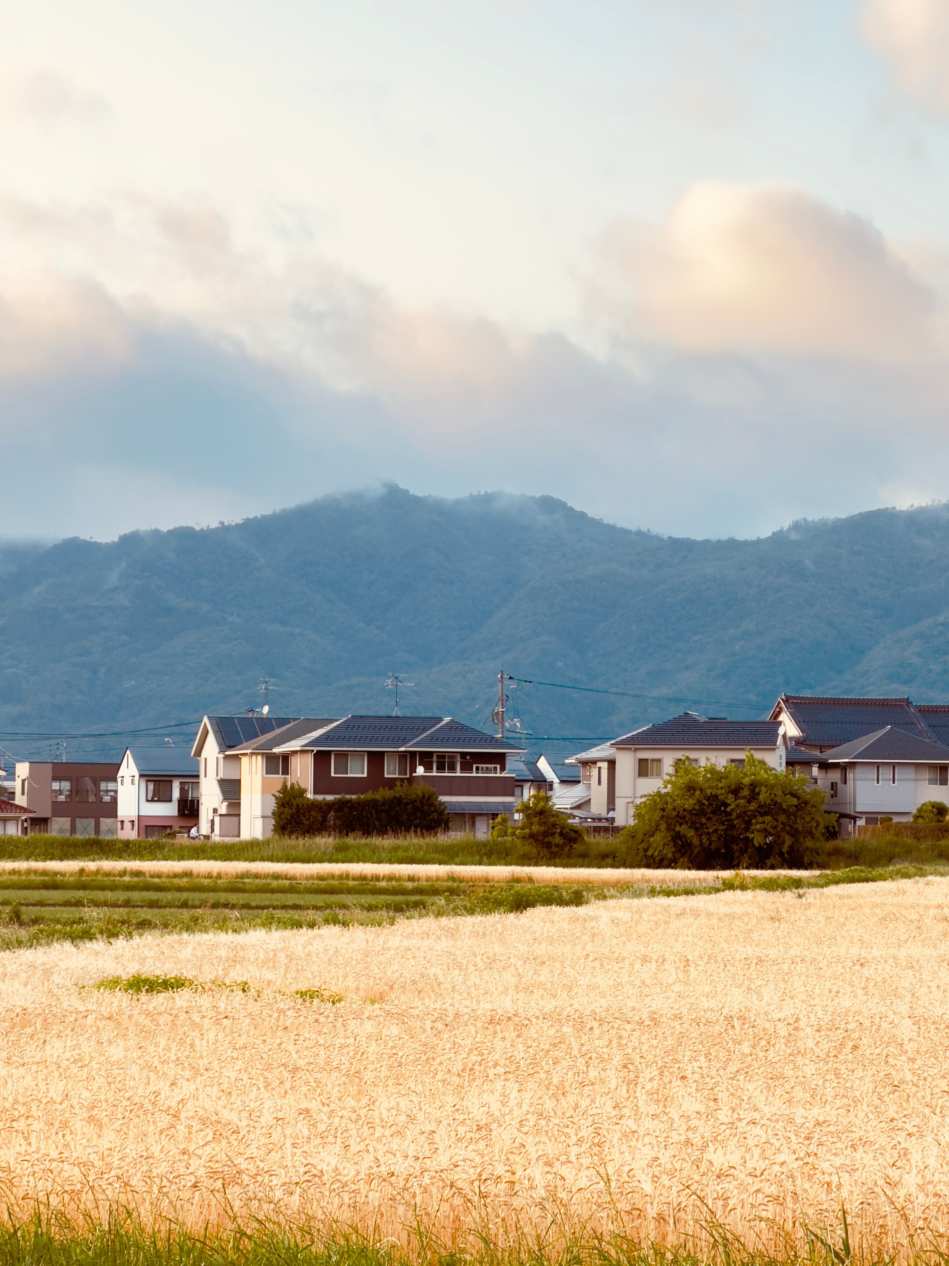 3024x4032 Oita Photo, Download The BEST Free Oita & HD Image