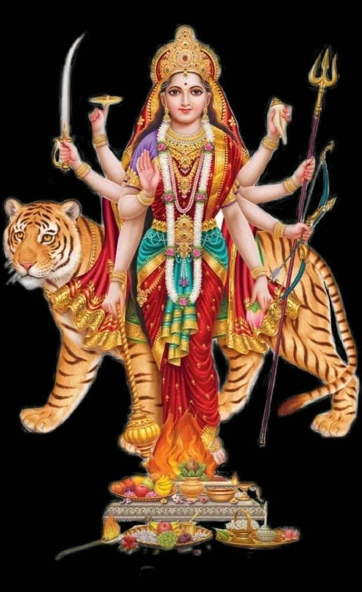 719x1177 Download Santoshi Maa Goddess And Tiger Wallpaper