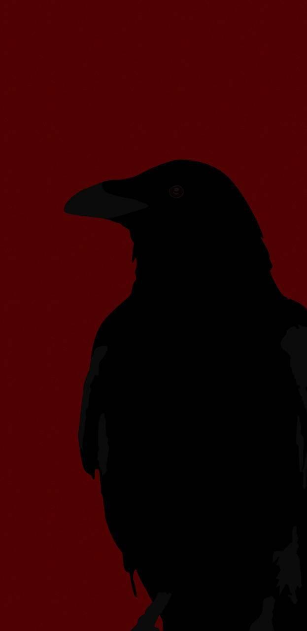 623x1280 Crow wallpaper