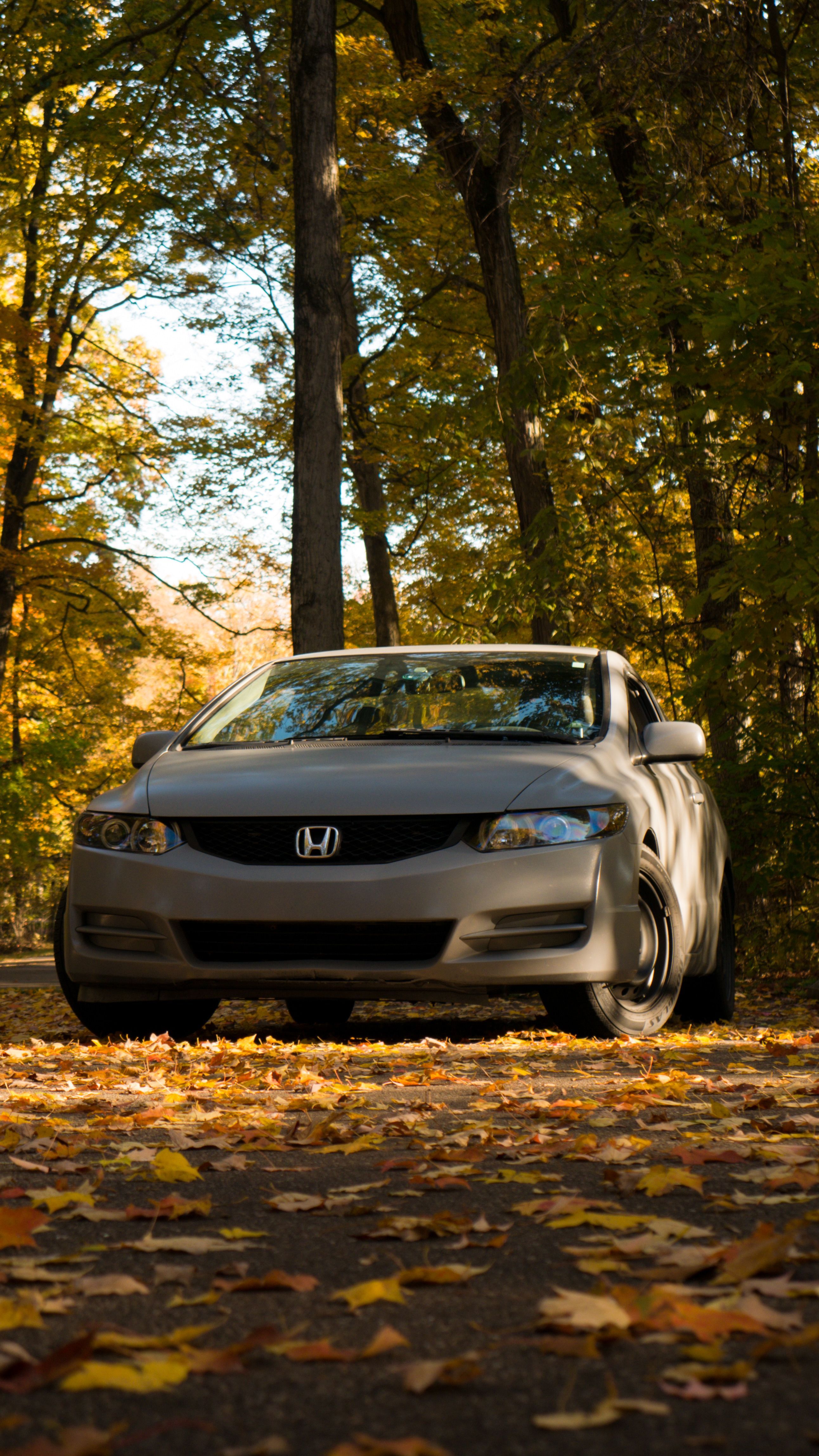 2584x4592 Honda Civic Photo, Download The BEST Free 2010 Honda Civic & HD Image