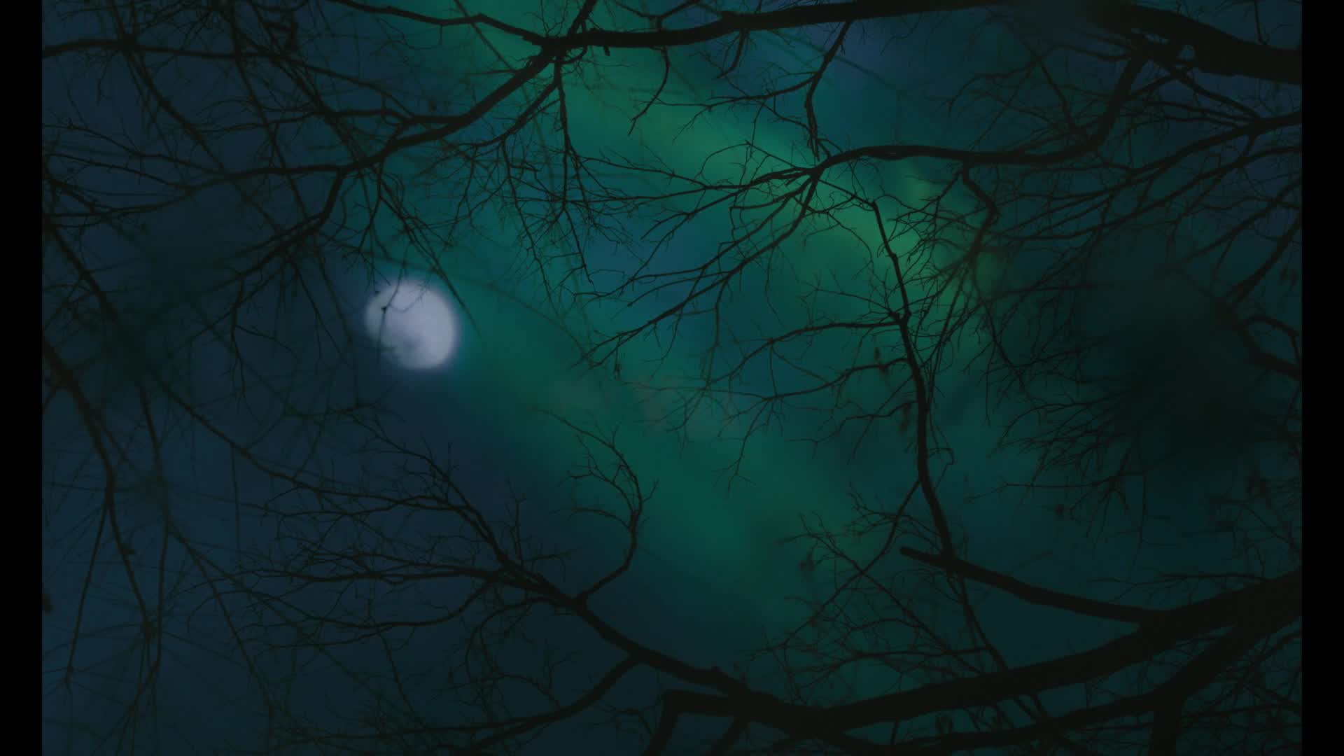 1920x1080 THE VEIL