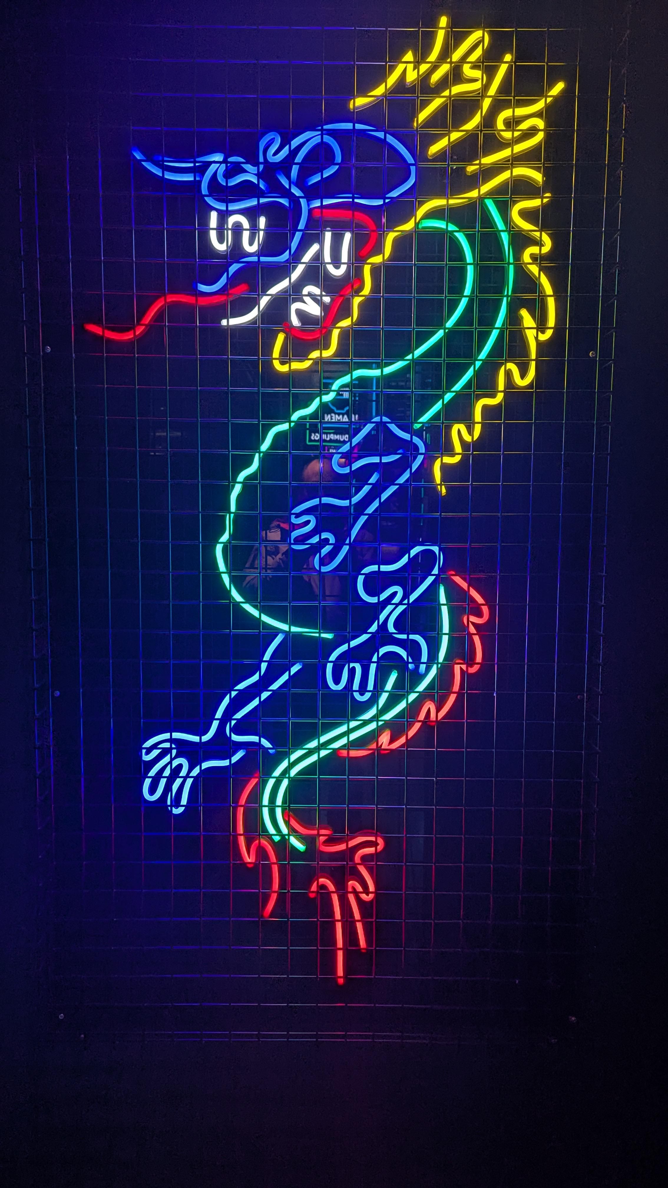 2268x4032 Saw this in a Chinese restaurant entryway. Neon light dragon behind wire mesh