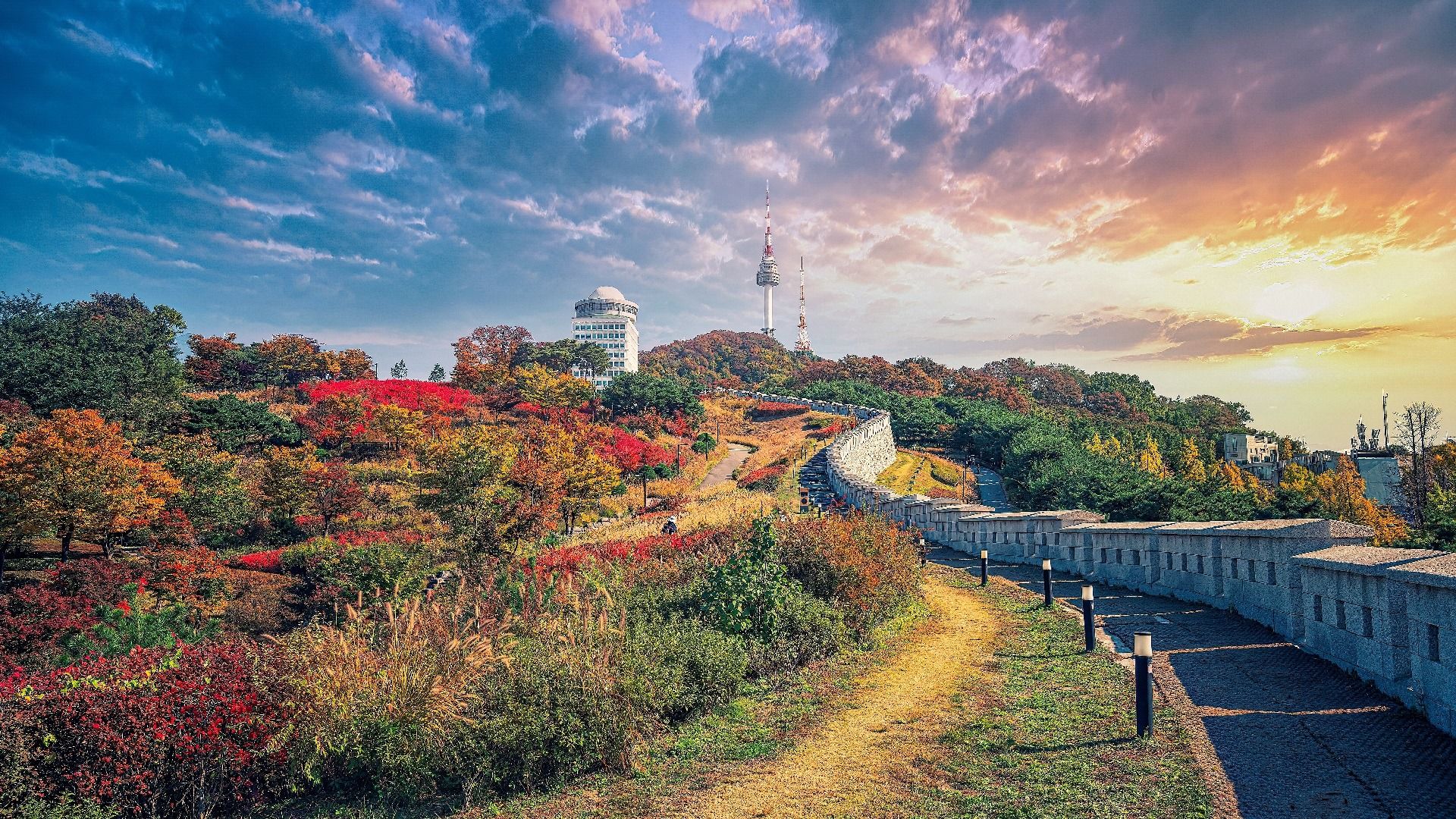 1920x1080 Discovering Seoul Forest: A Serene Urban Escape in the Heart of Seoul Agoda: See The World For Less