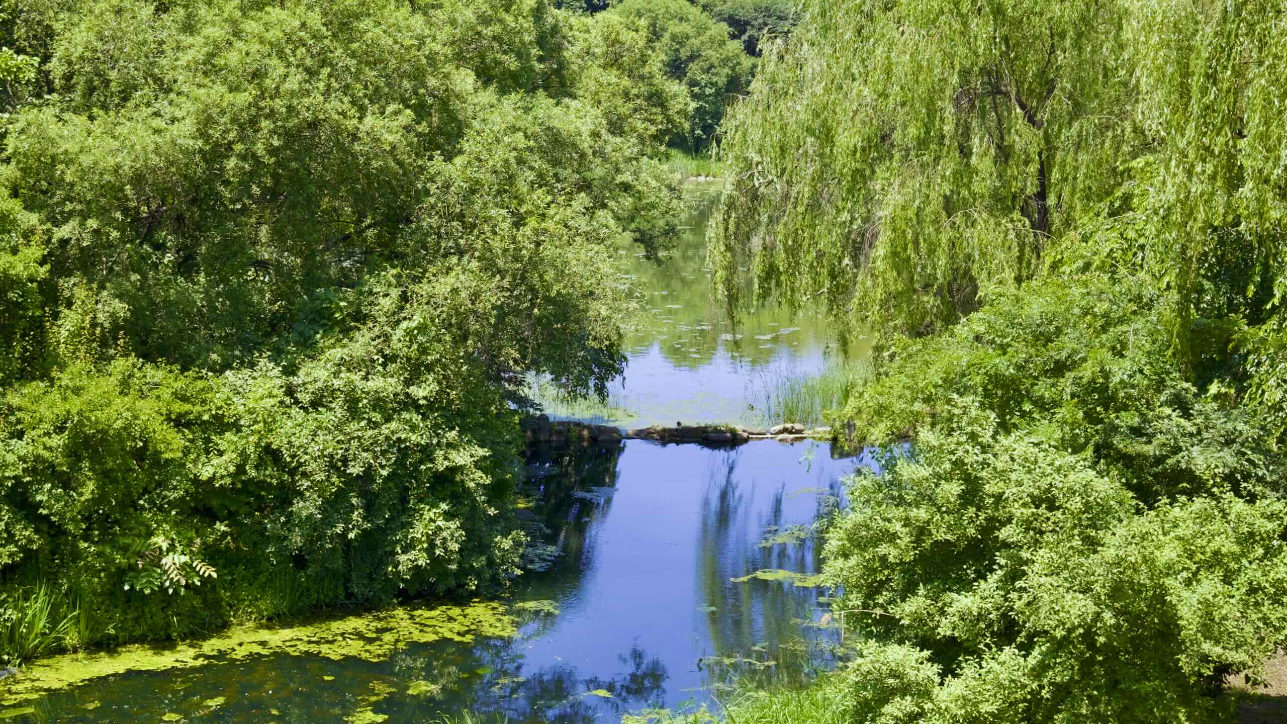2560x1440 Seoul Forest. Hangang Bike Path. Korea By Bike