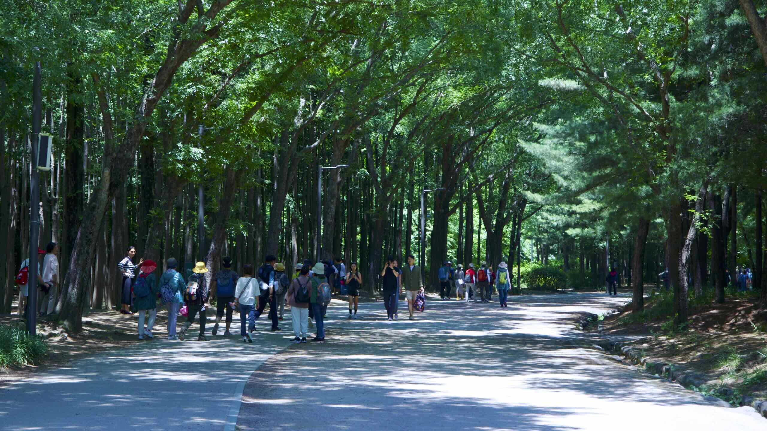 2560x1440 Seoul Forest. Hangang Bike Path. Korea By Bike