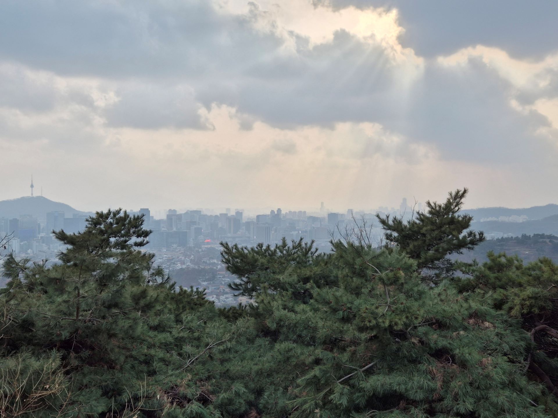 1920x1440 Seoul's Trees, Forests, and Nature