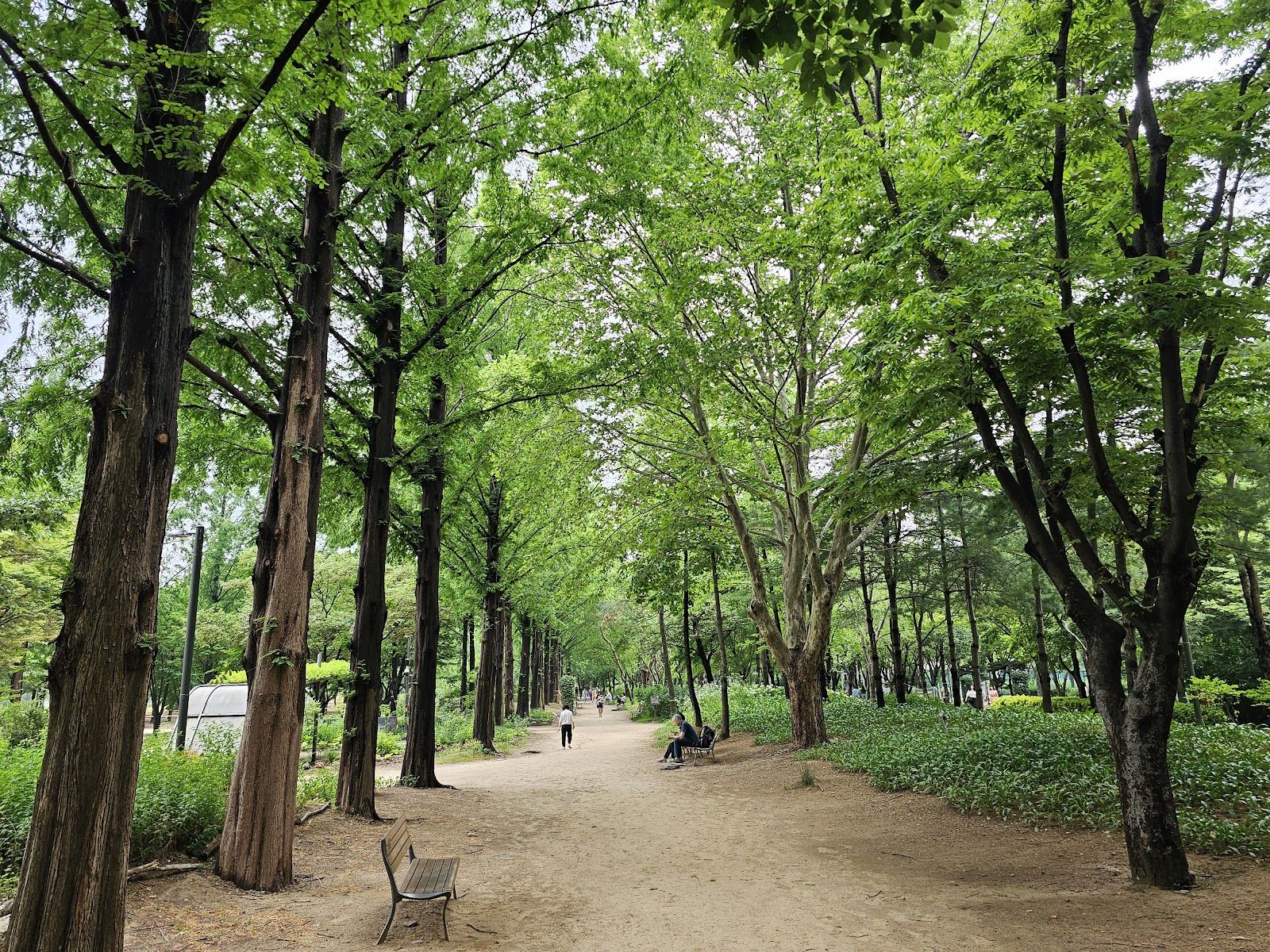 1600x1200 Seoul Forest 성수1가제1동 Seongdong Gu