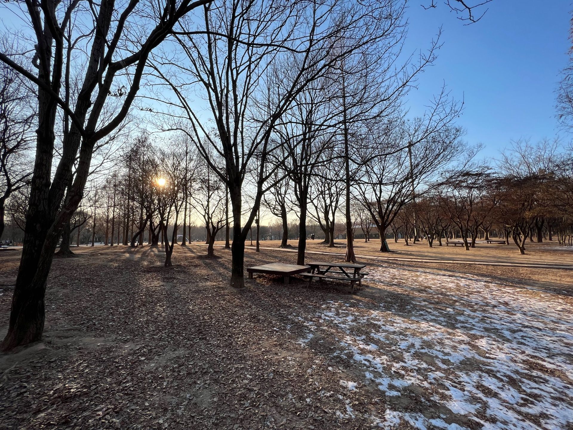 1920x1440 Seoul Forest Park Ttukseom Ro, Seongdong Gu