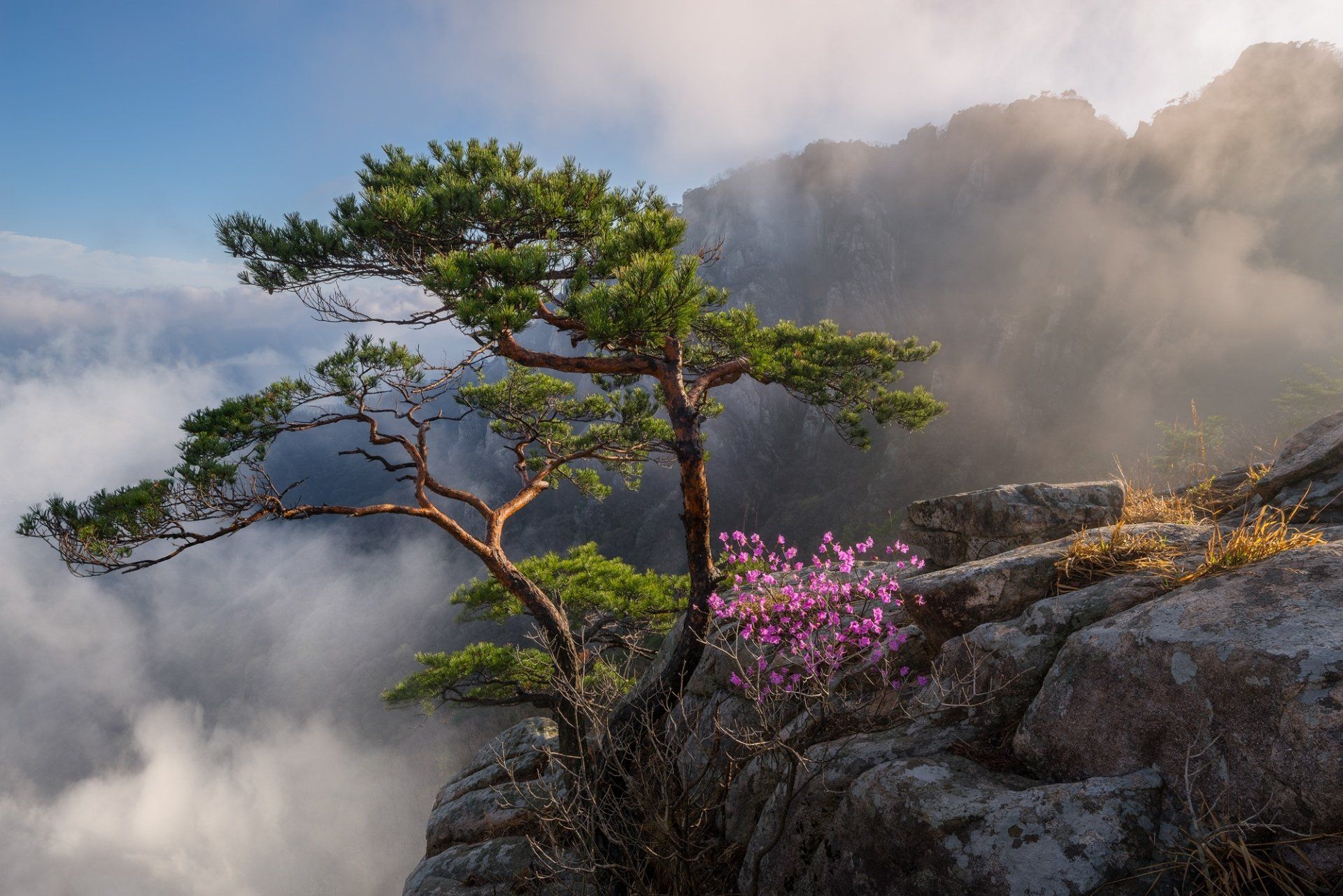 1920x1282 Majestic South Korean Mountain Landscape with Clouds and Blossoming Tree
