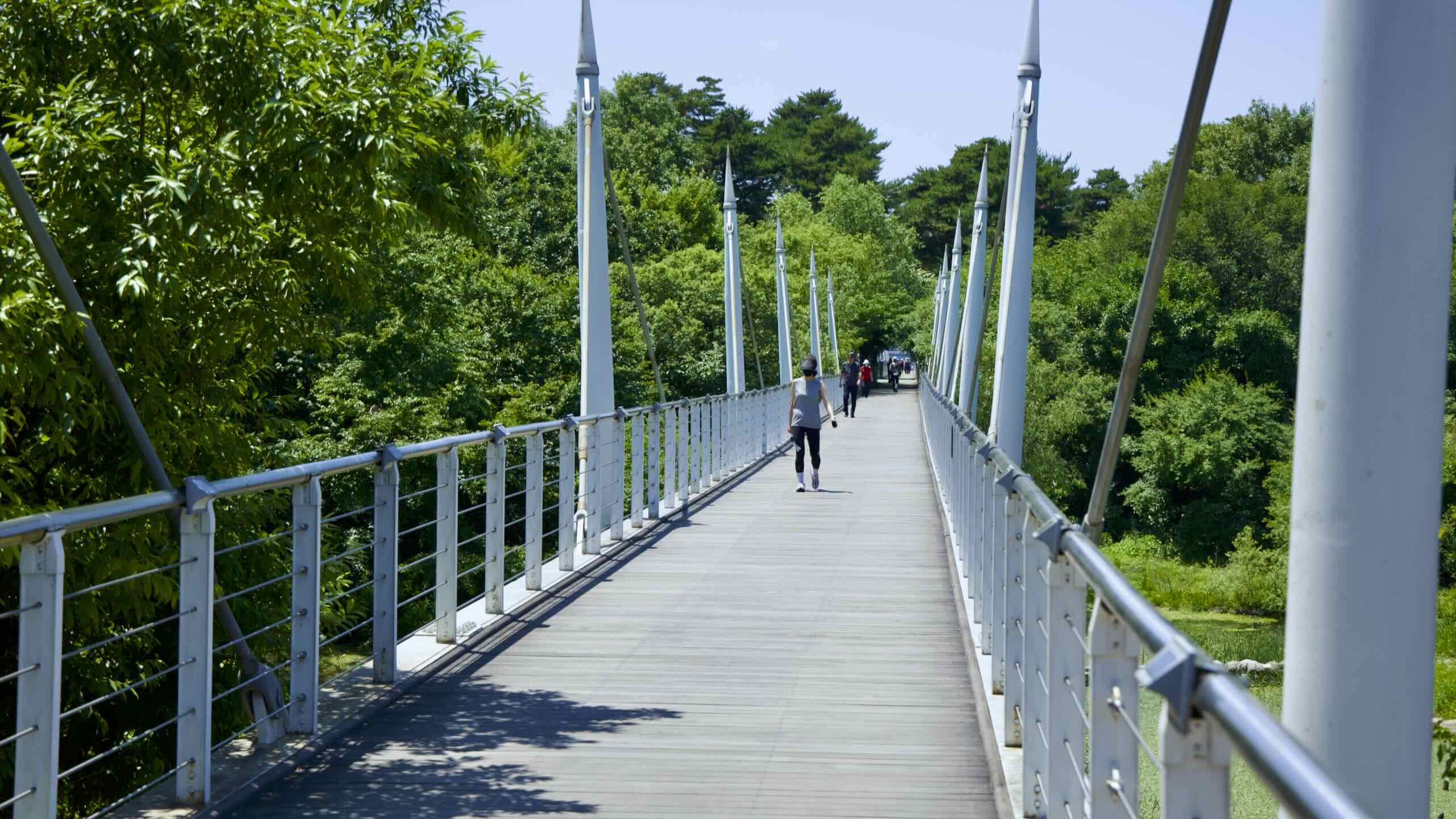 2560x1440 Seoul Forest. Hangang Bike Path. Korea By Bike