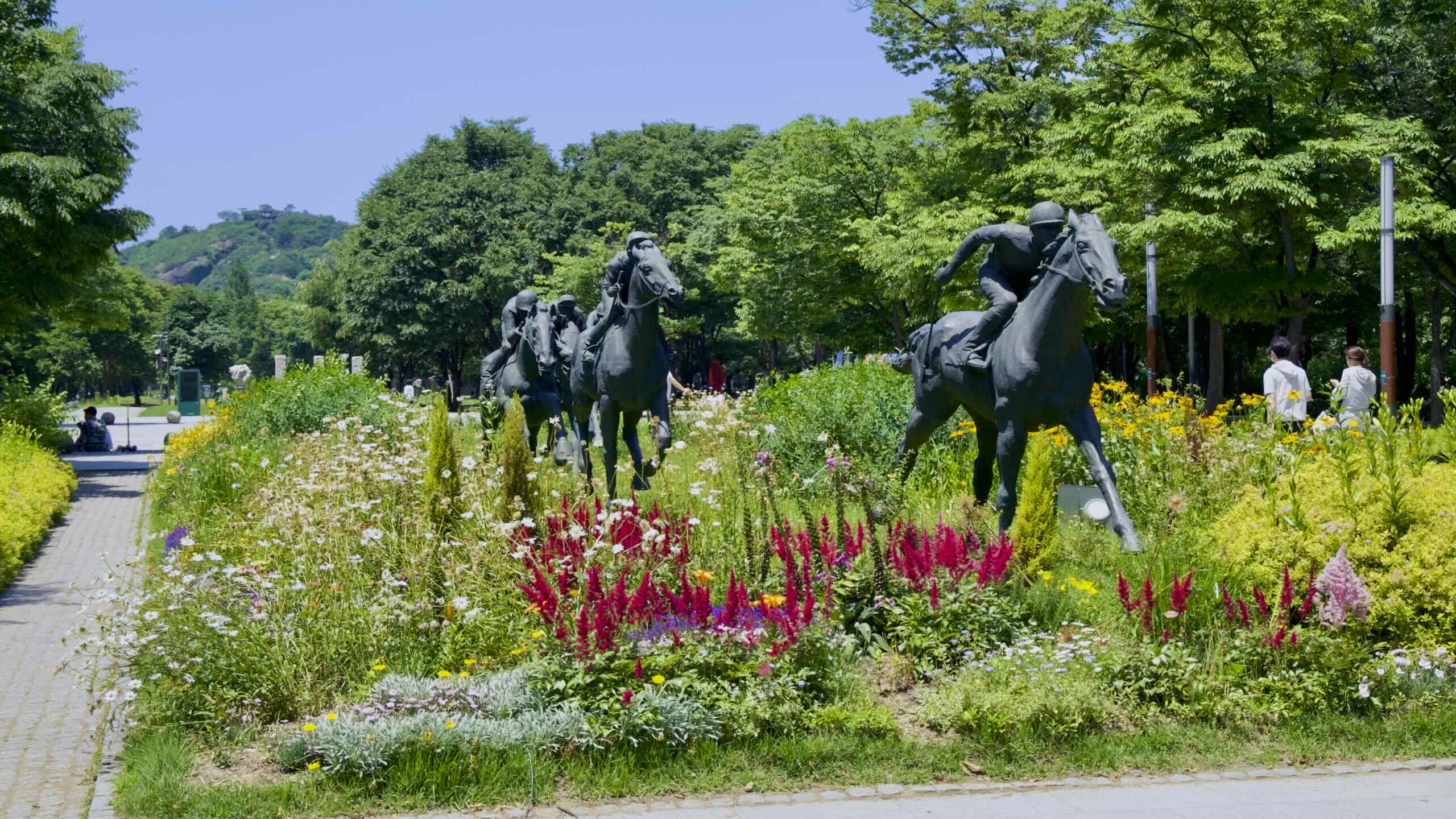 2560x1440 Seoul Forest. Hangang Bike Path. Korea By Bike