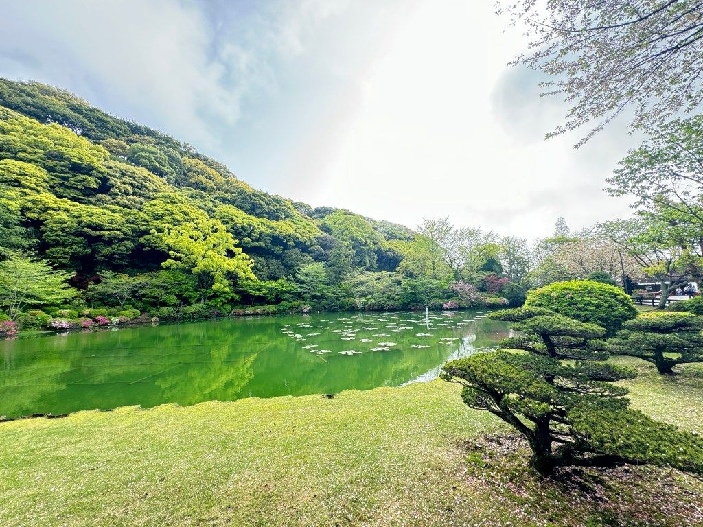 1024x768 Beppu: Mama I'm home