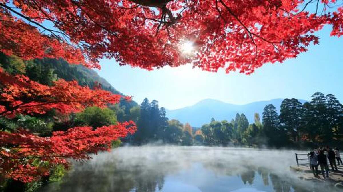 1200x672 Beppu Kinrin Lake Autumn Viewing + Hells Of Beppu + Kyushu Wildlife Park African Safari 1 Day Tour Day Tours