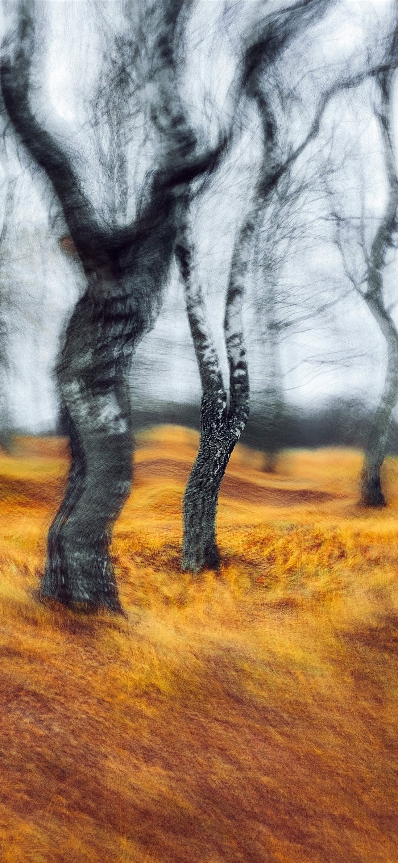 1290x2796 a blurry photo of trees in a field iPhone Wallpaper Free Download