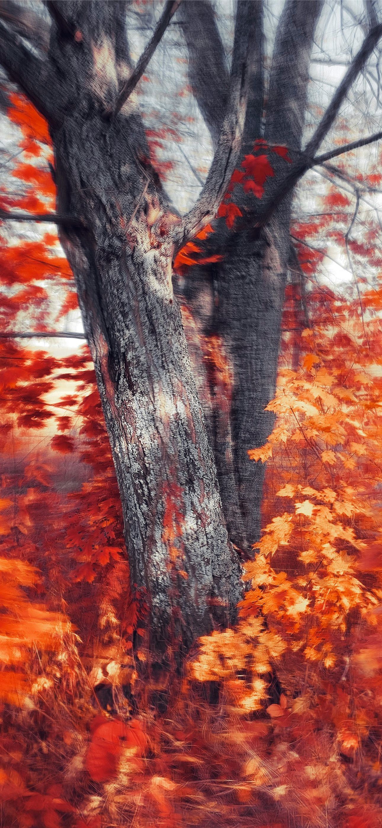 1290x2796 Best Abstract art iPhone HD Wallpaper