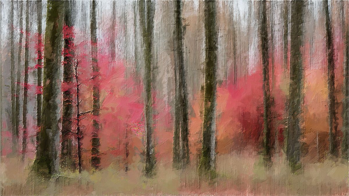 1200x673 Abstract Autumn Forest Mural Wallpaper