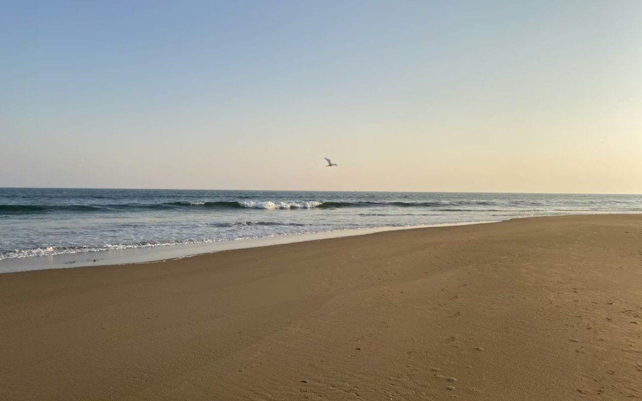 1280x800 Living in Vero Beach: Why Homeowners Love It. Vero Premier