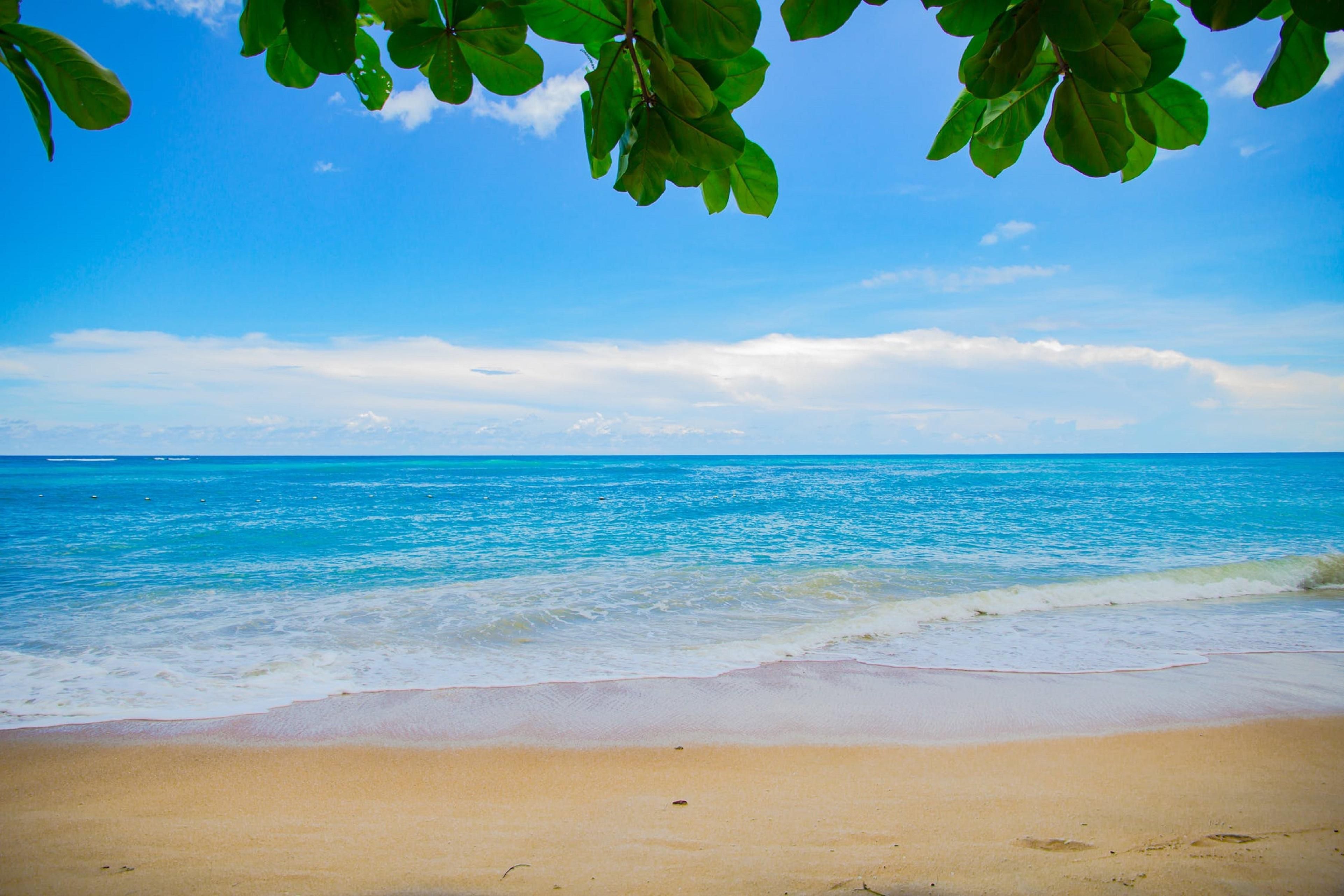 3843x2562 Staybridge Suites Vero Beach