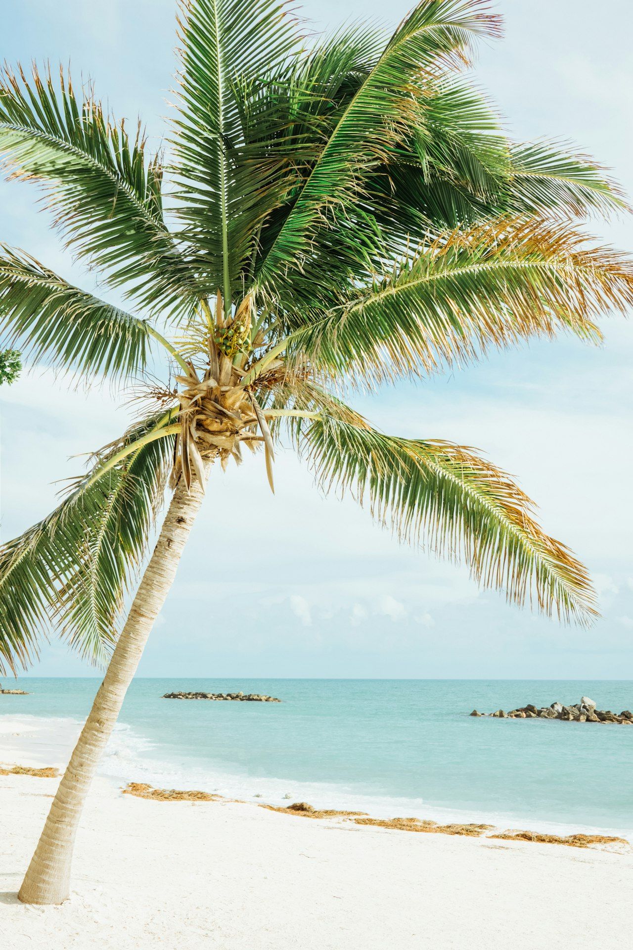 1280x1920 Thinking about buying or selling in Winter Beach or greater Vero Beach and wondering when the timing is right?