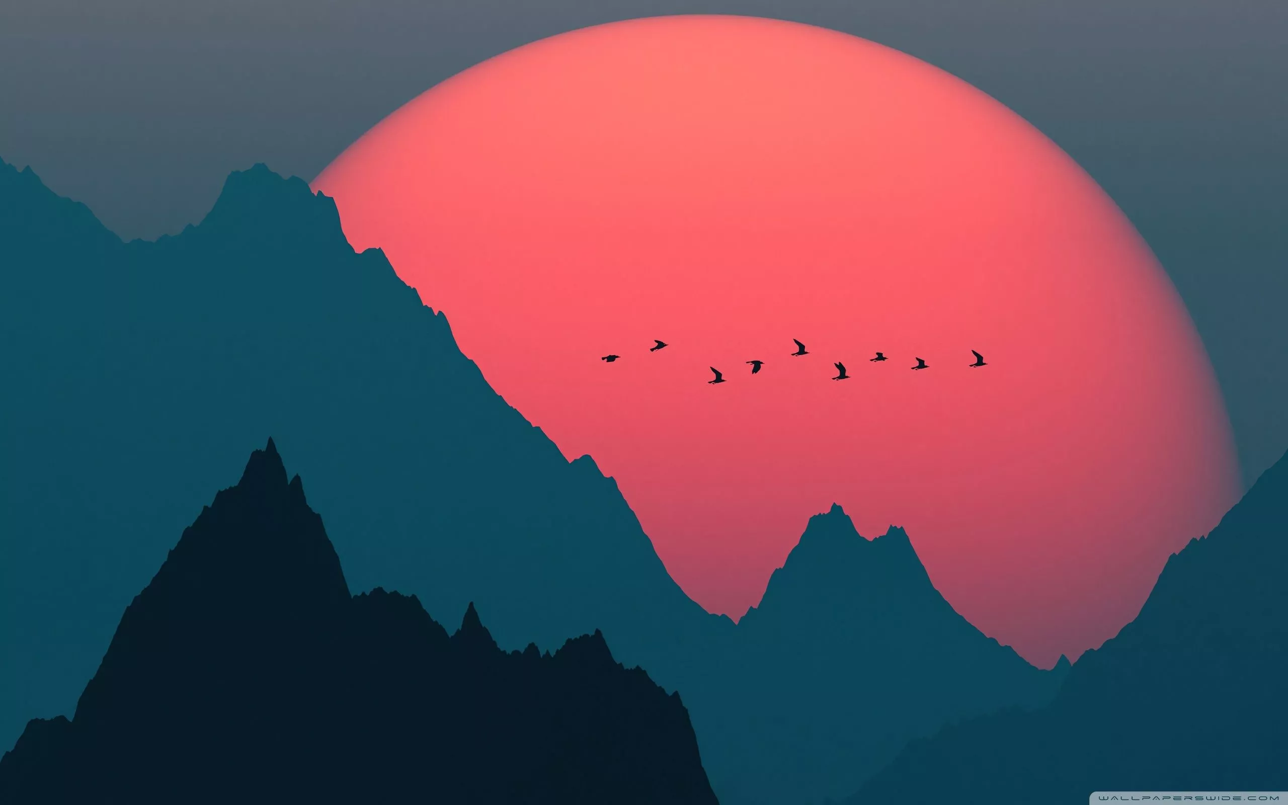 2560x1600 Wallpaper