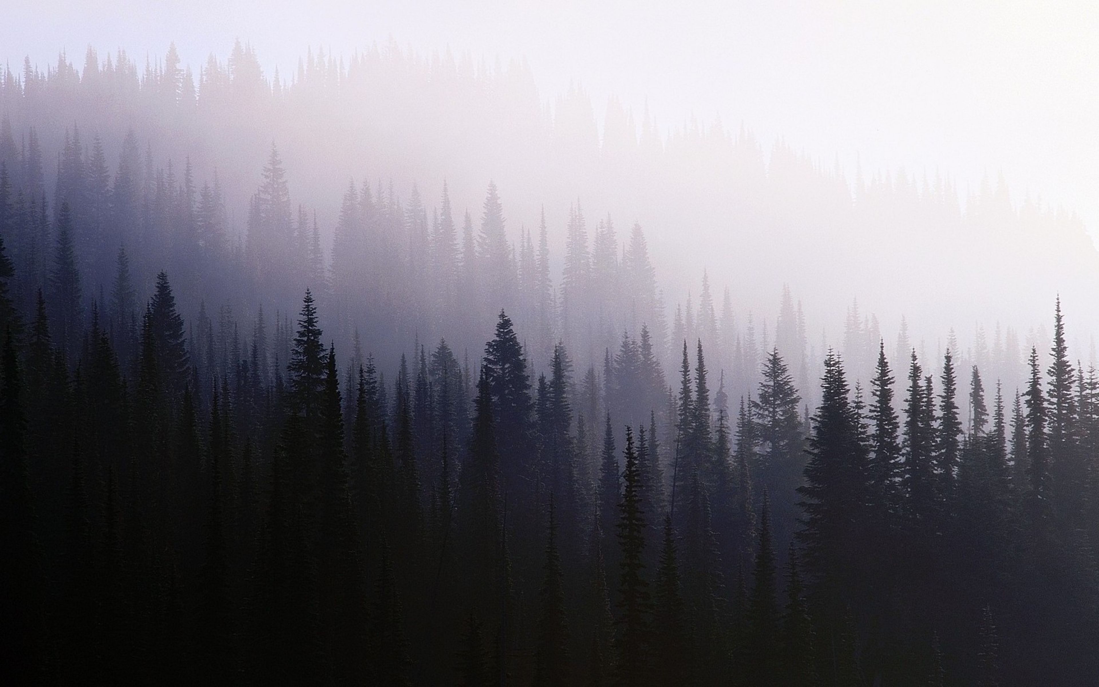 3840x2400 Wallpaper