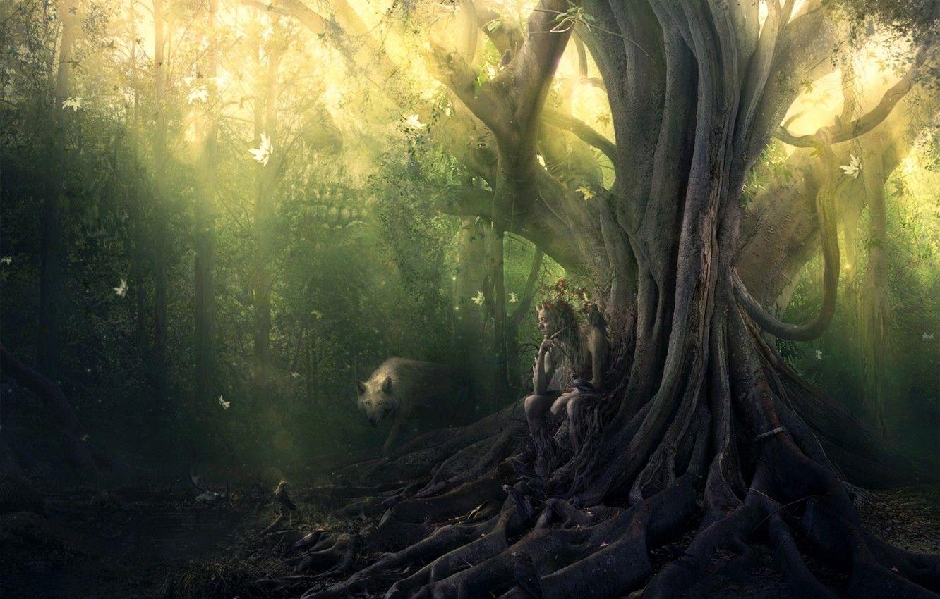 1332x850 Wallpaper Man, Wolf, Three Eyed Crow Image For Desktop, Section фантастика