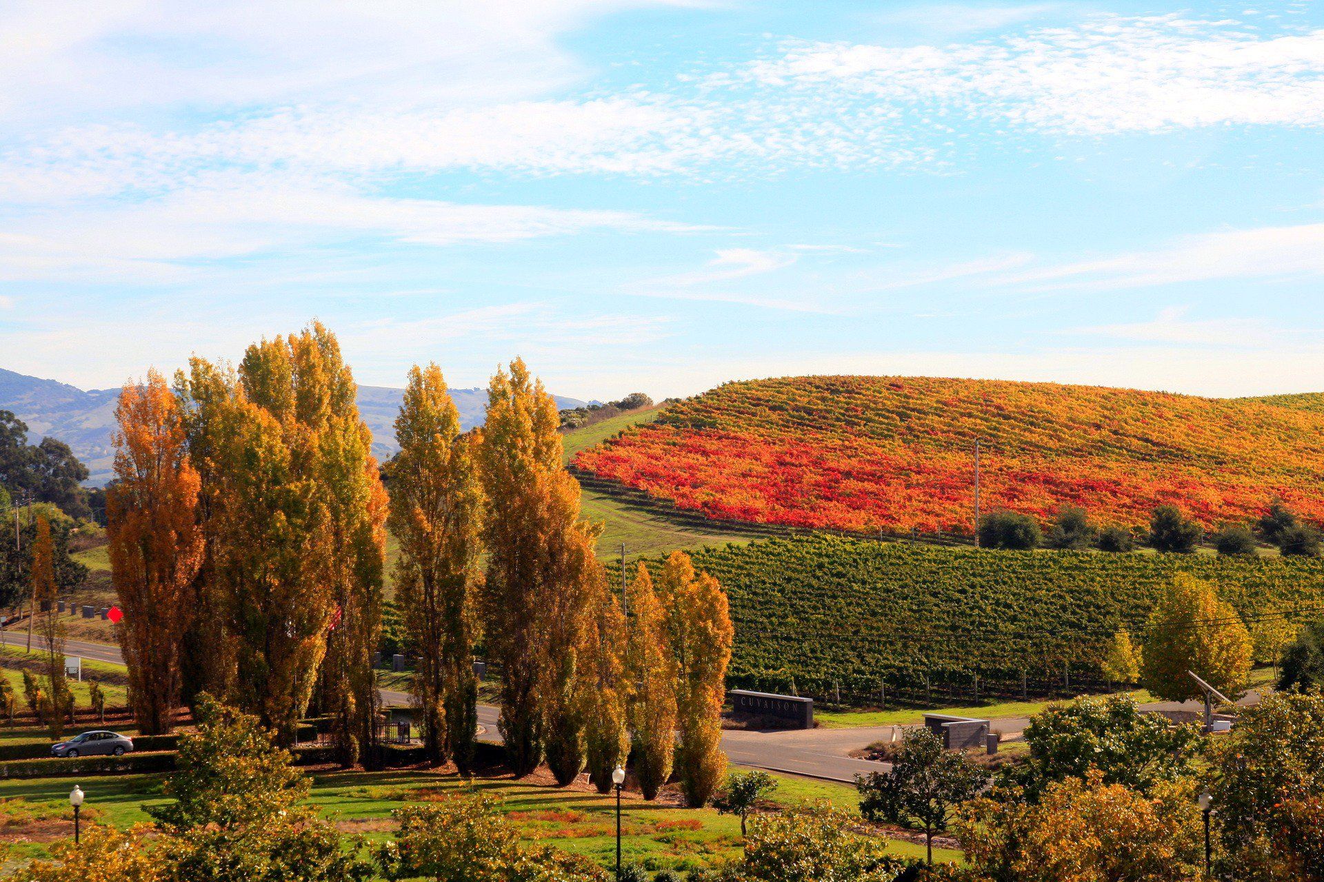 1920x1280 Download Fall Man Made Vineyard HD Wallpaperx1280
