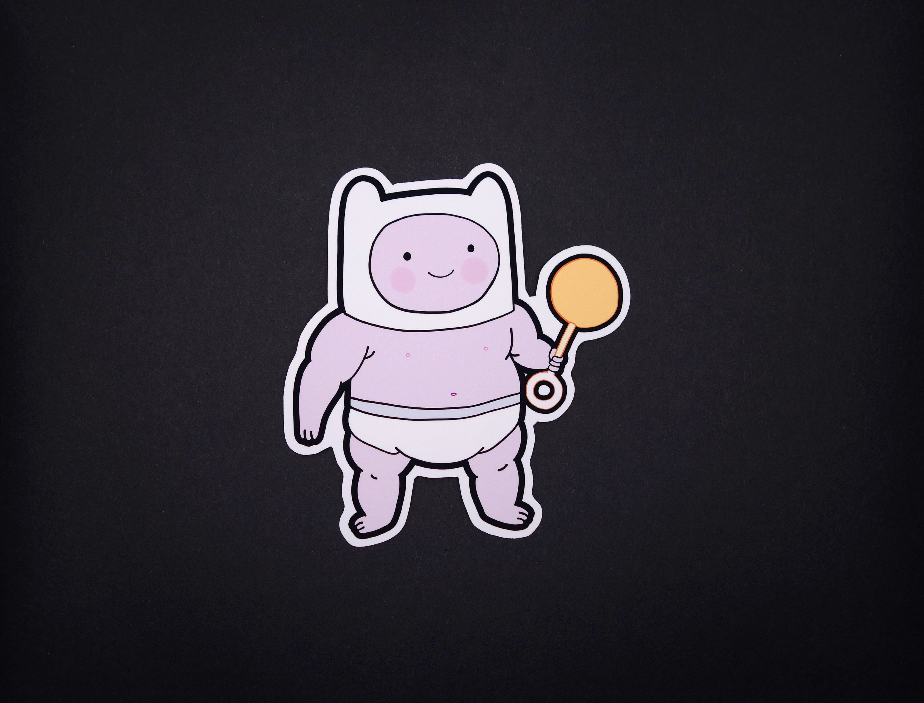 3000x2283 Fionna & Cake Baby Finn + Free Shipping + Free Adventure Time Bonus Sticker + 3 Sticker Decal Matte Vinyl + Finn and Jake