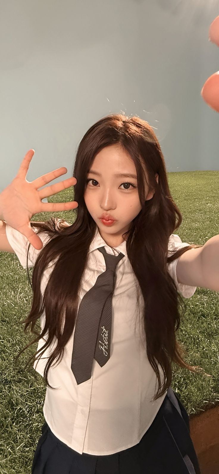 736x1594 stella wallpaper
